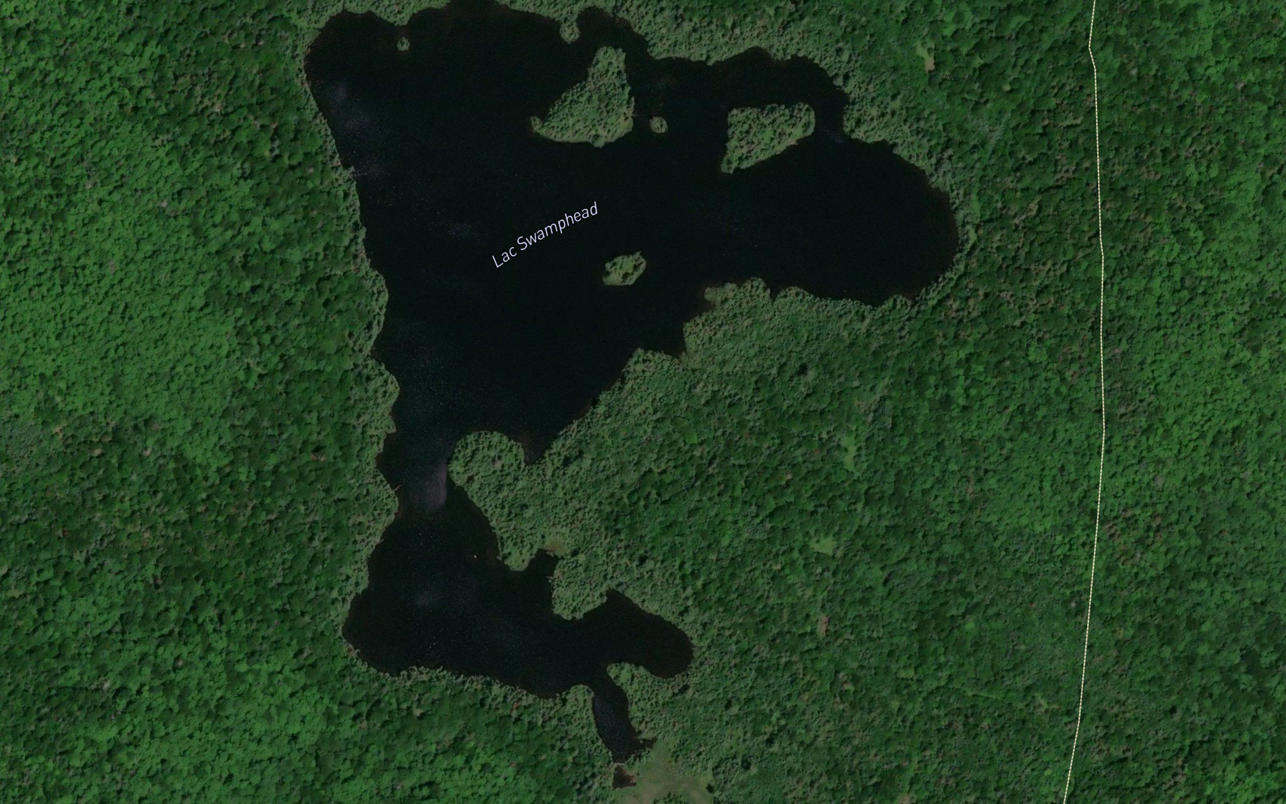 Lac Swamphead