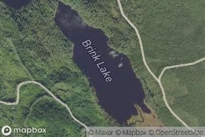 Brink Lake