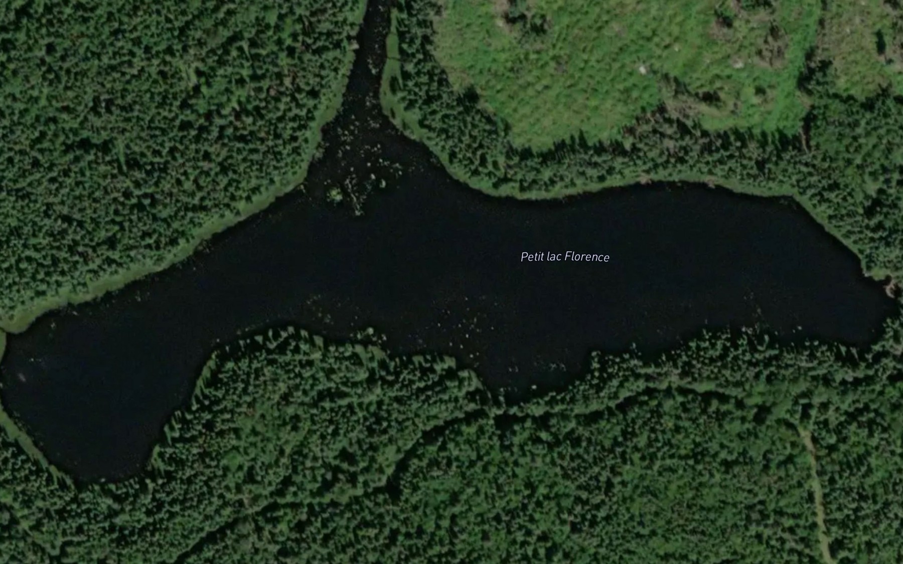 Satellite map of the Petit lac Florence
