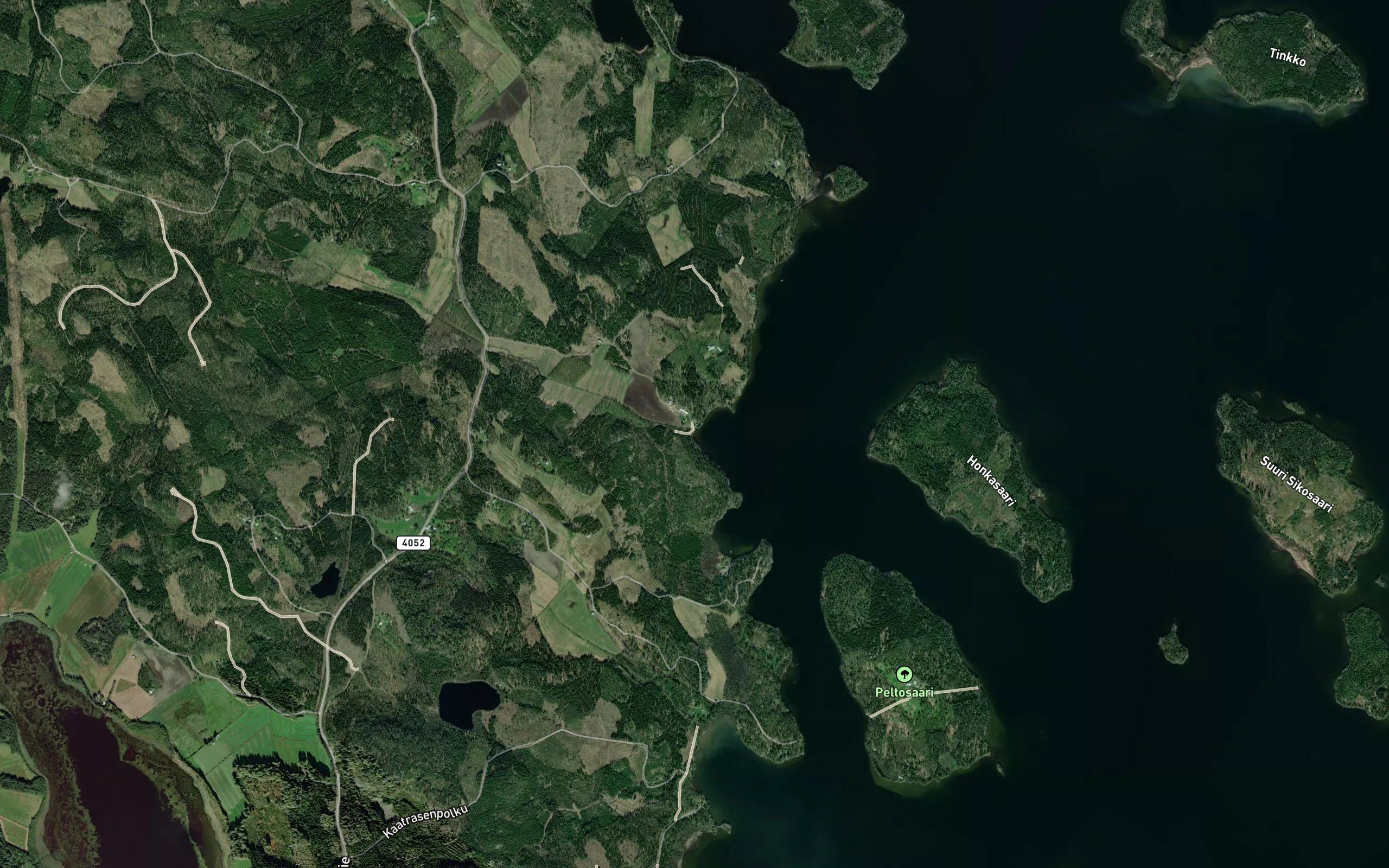 Liekkiinoja