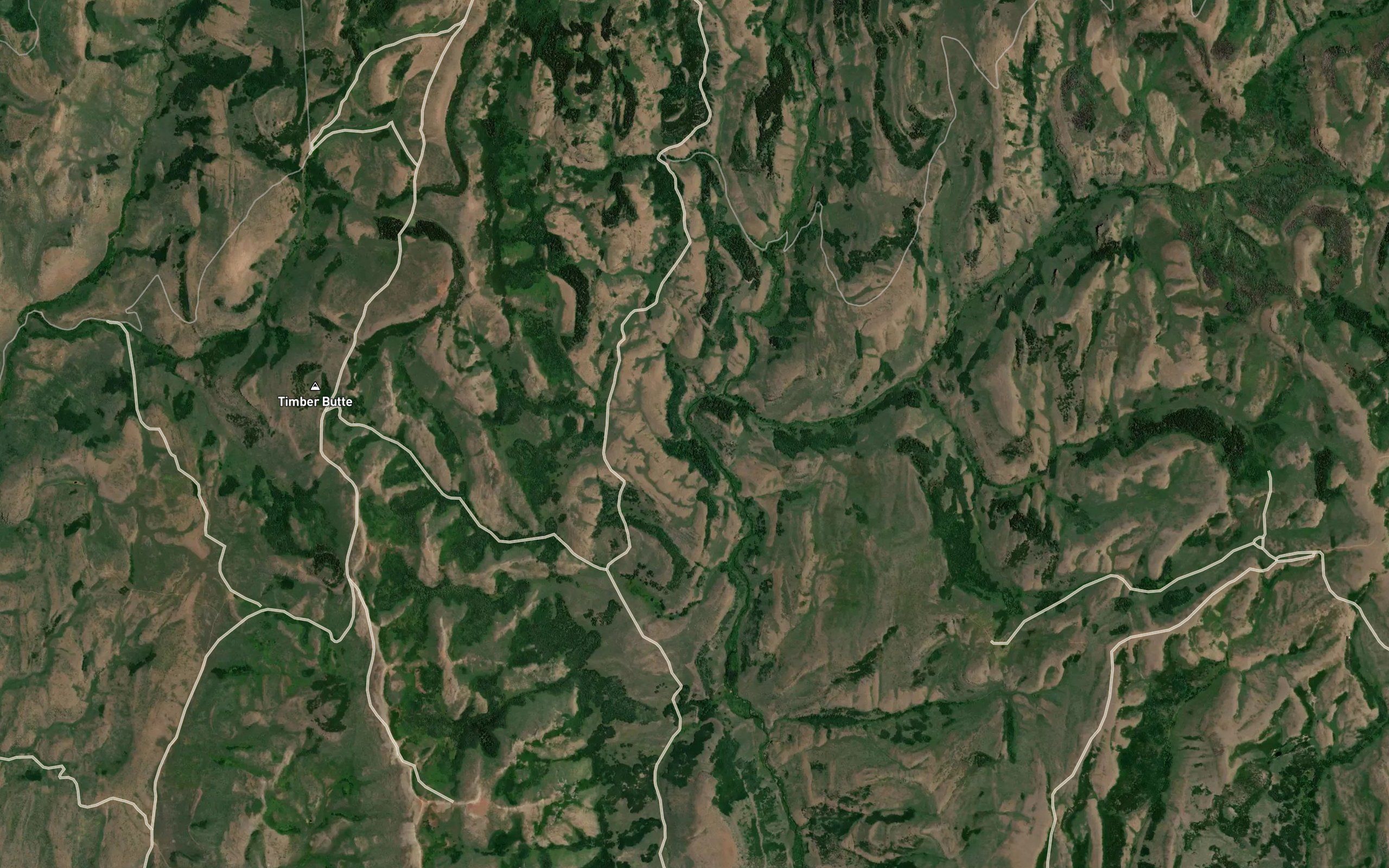Beatty Creek