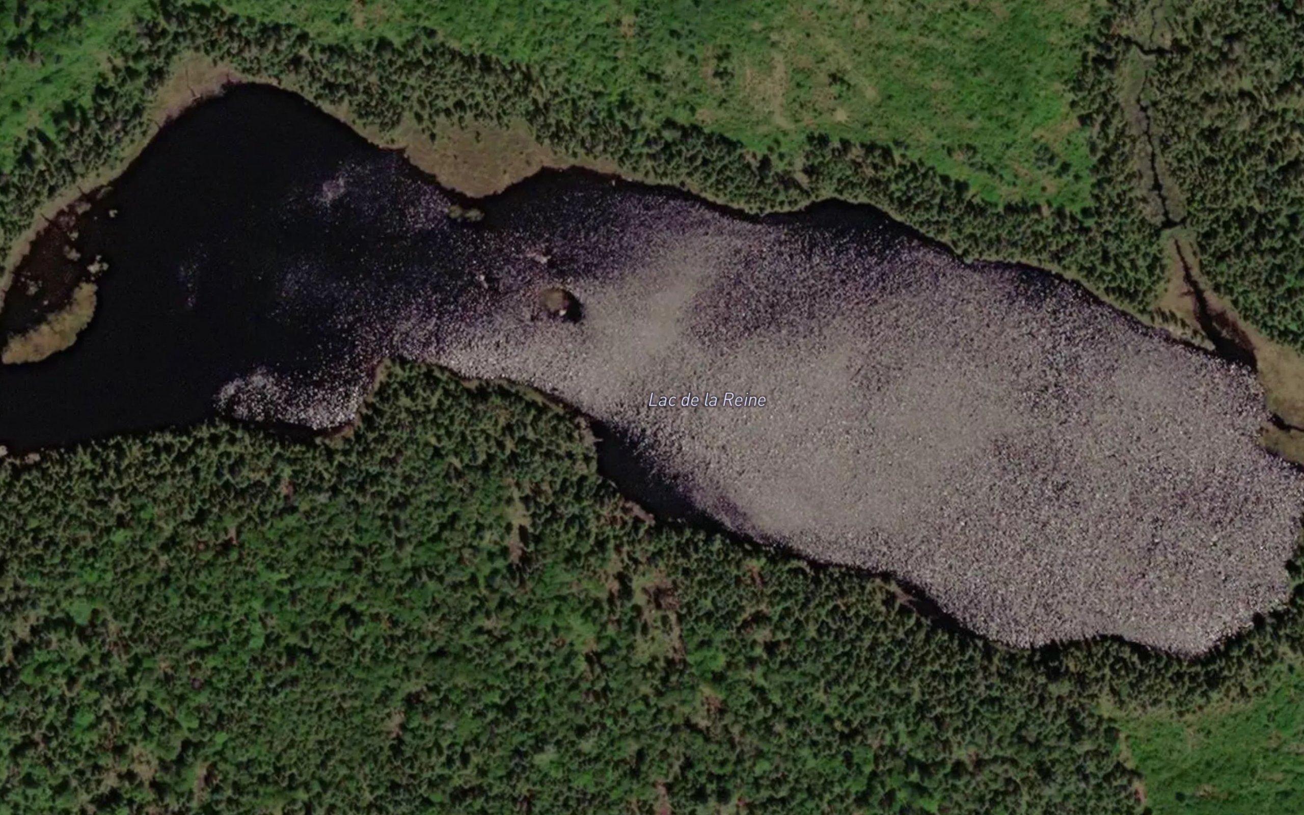Lac de la Reine