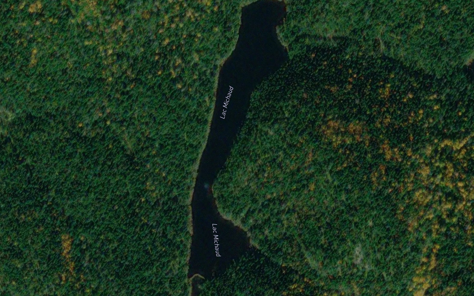 Satellite map of the Lac Michaud