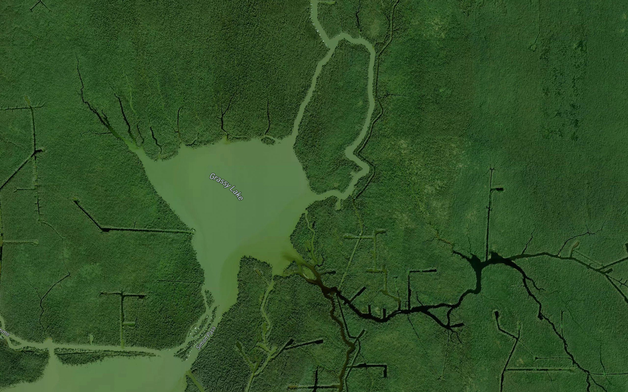 Bayou Felix