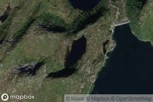 Botnelaustjorna