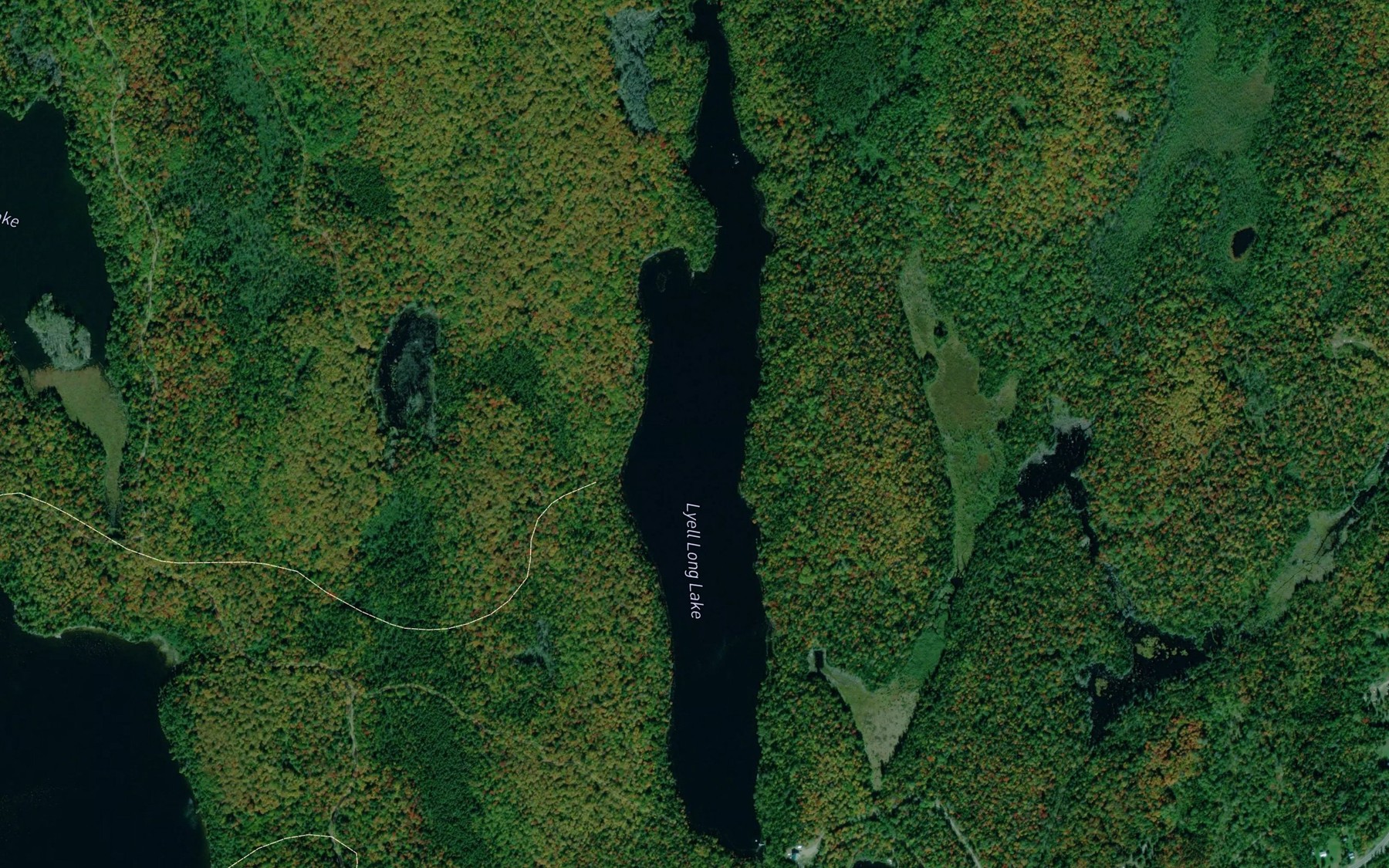 Satellite map of the Lyell Long Lake