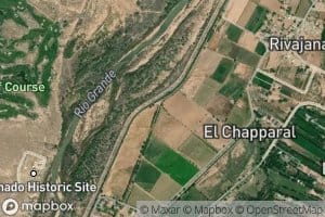 Bosque Lateral Number One