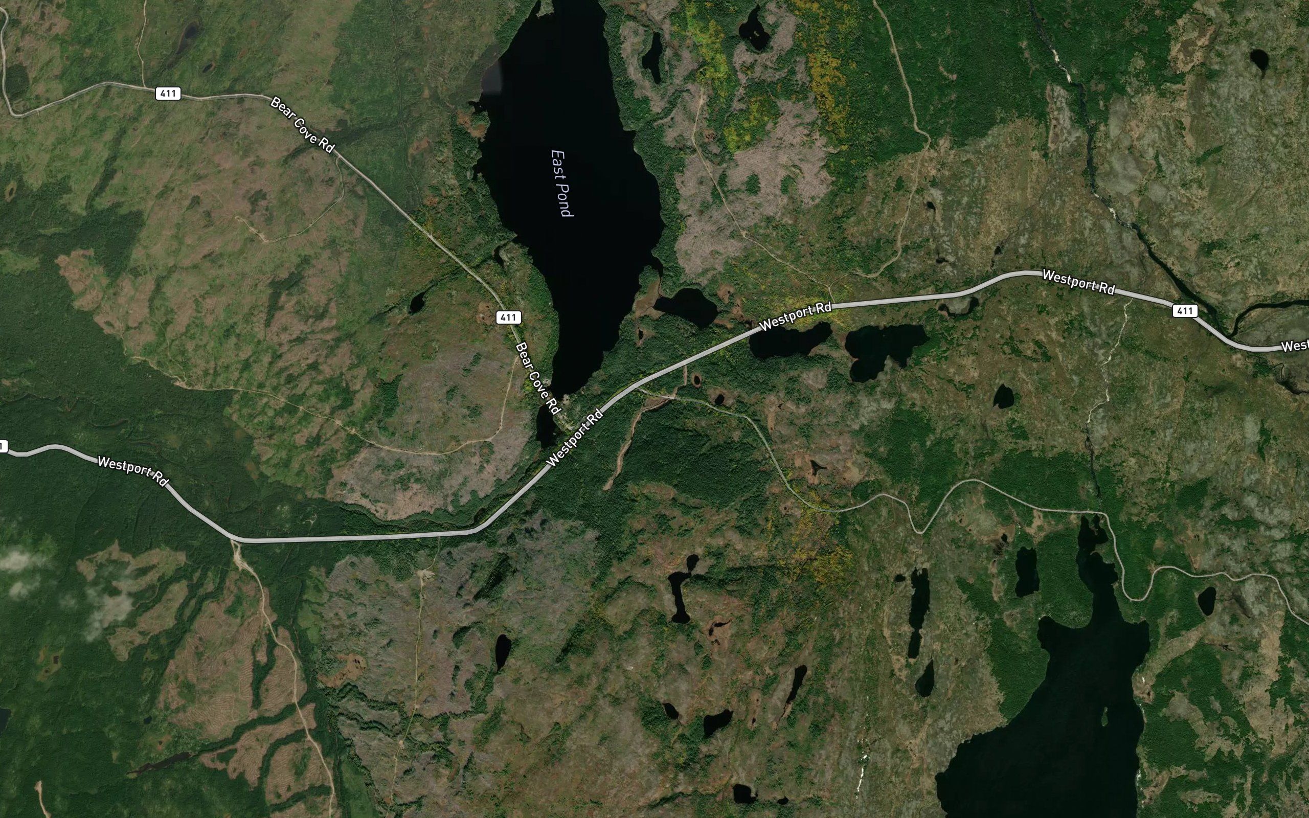 Western Arm Brook