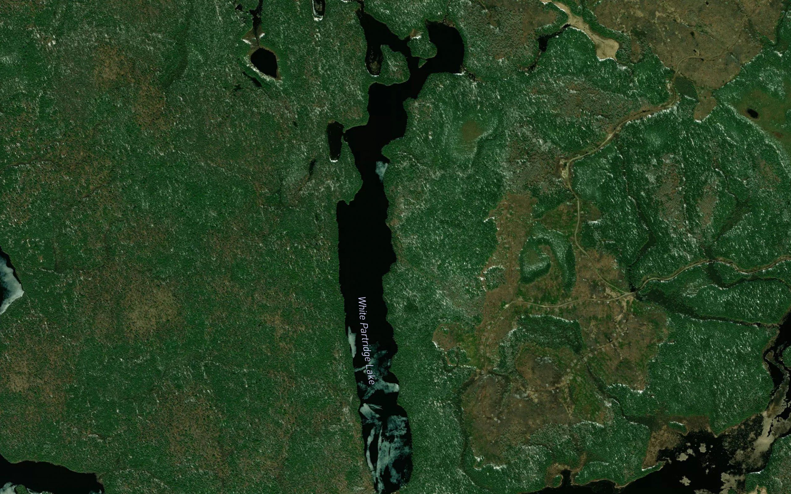 White Partridge Lake