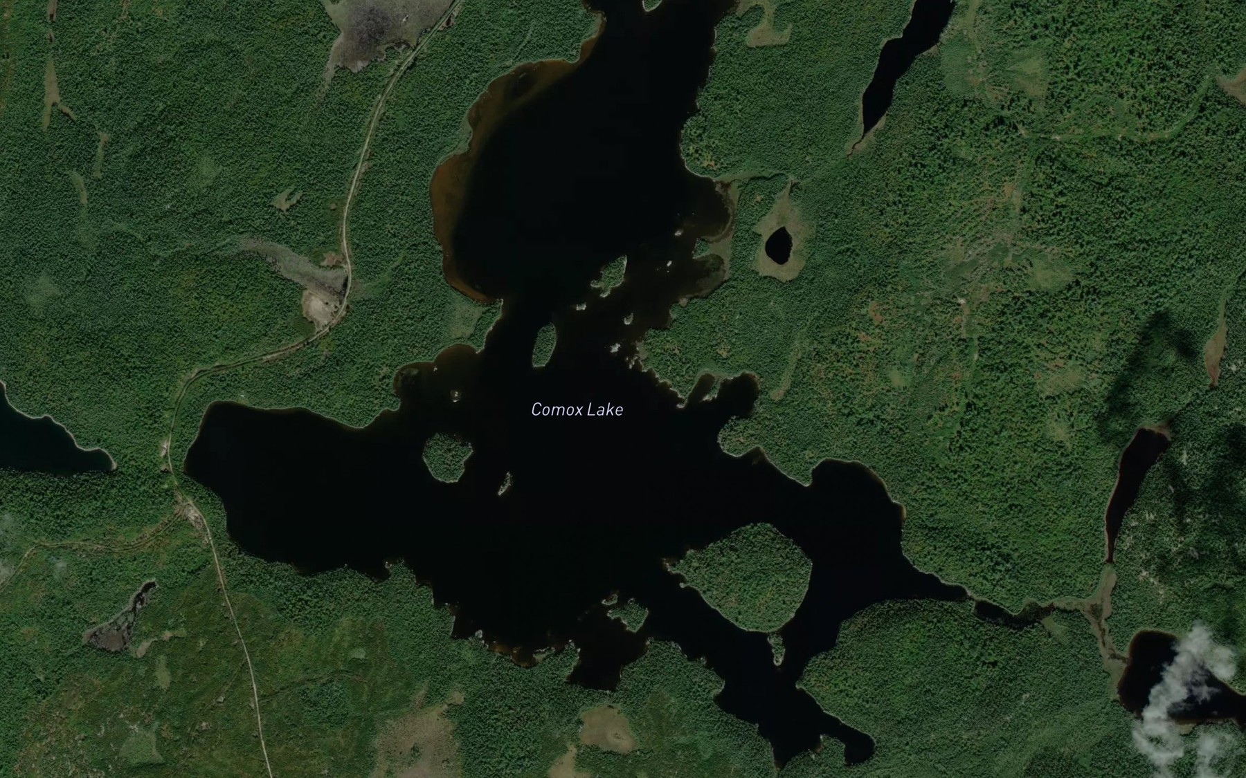 Satellite map of the Comox Lake