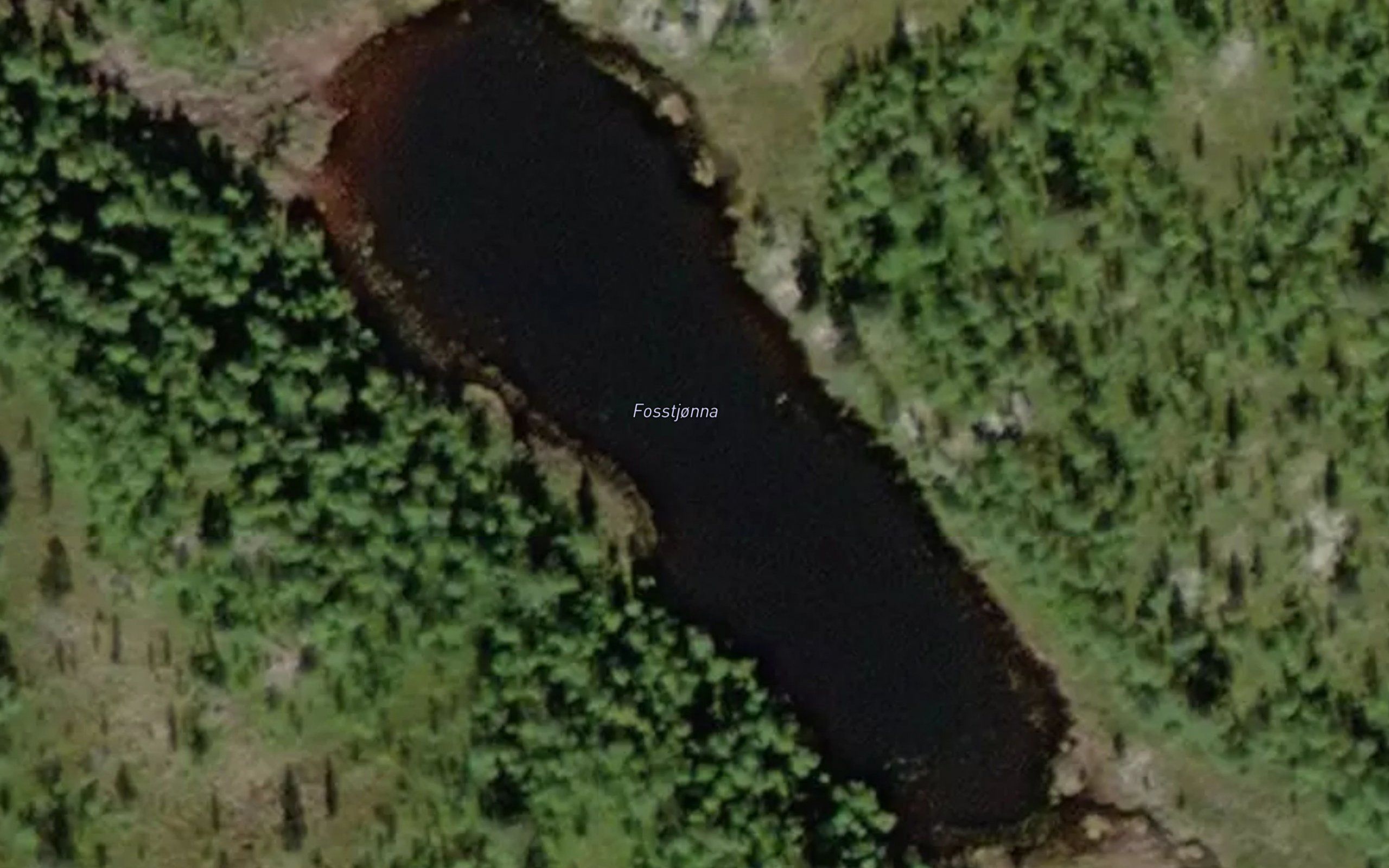 Fosstjorna