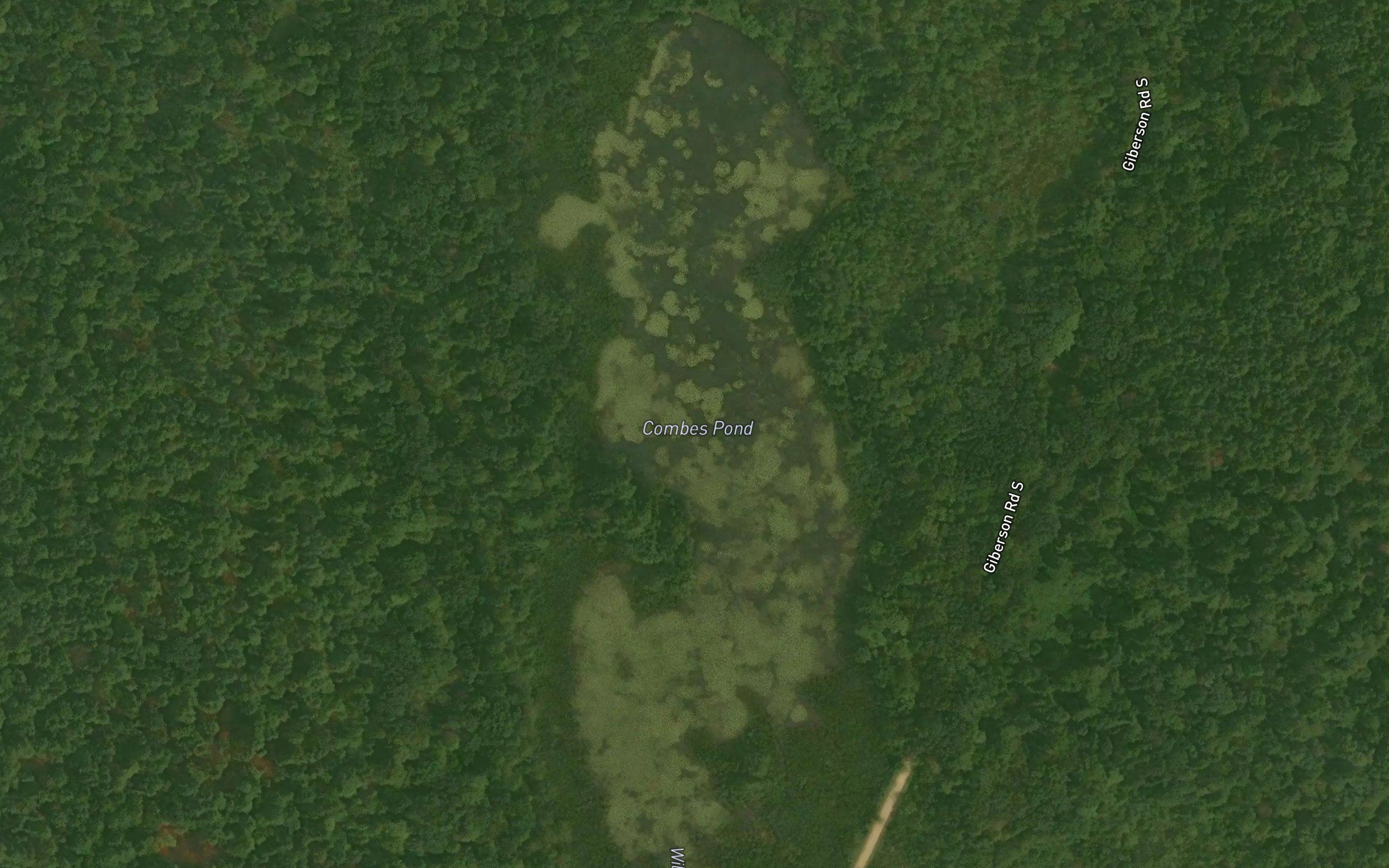 Combes Pond