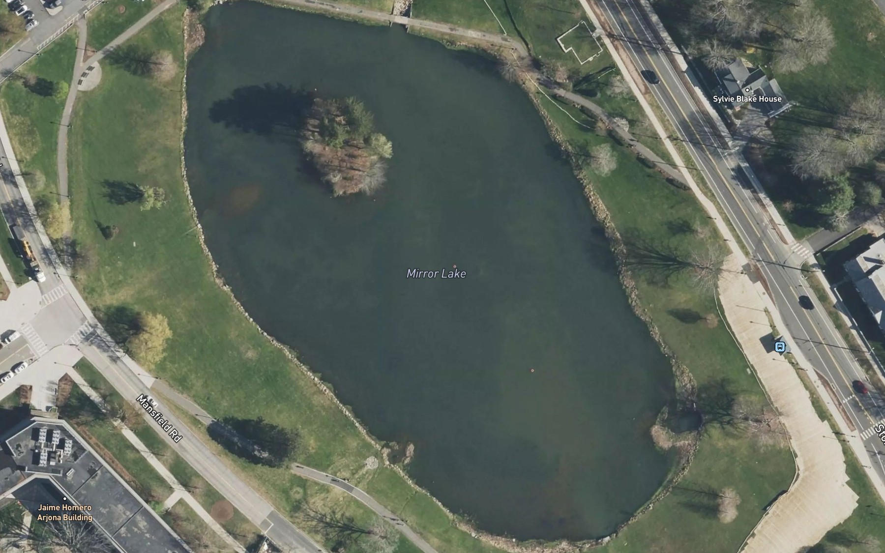 Satellite map of the Mirror Lake