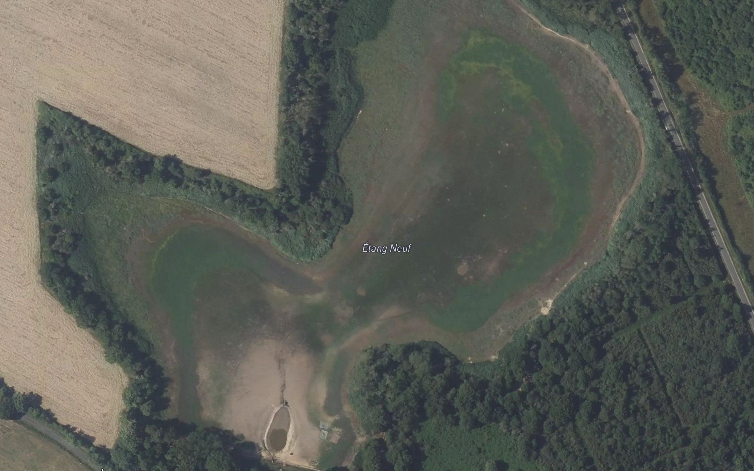 Etang Neuf