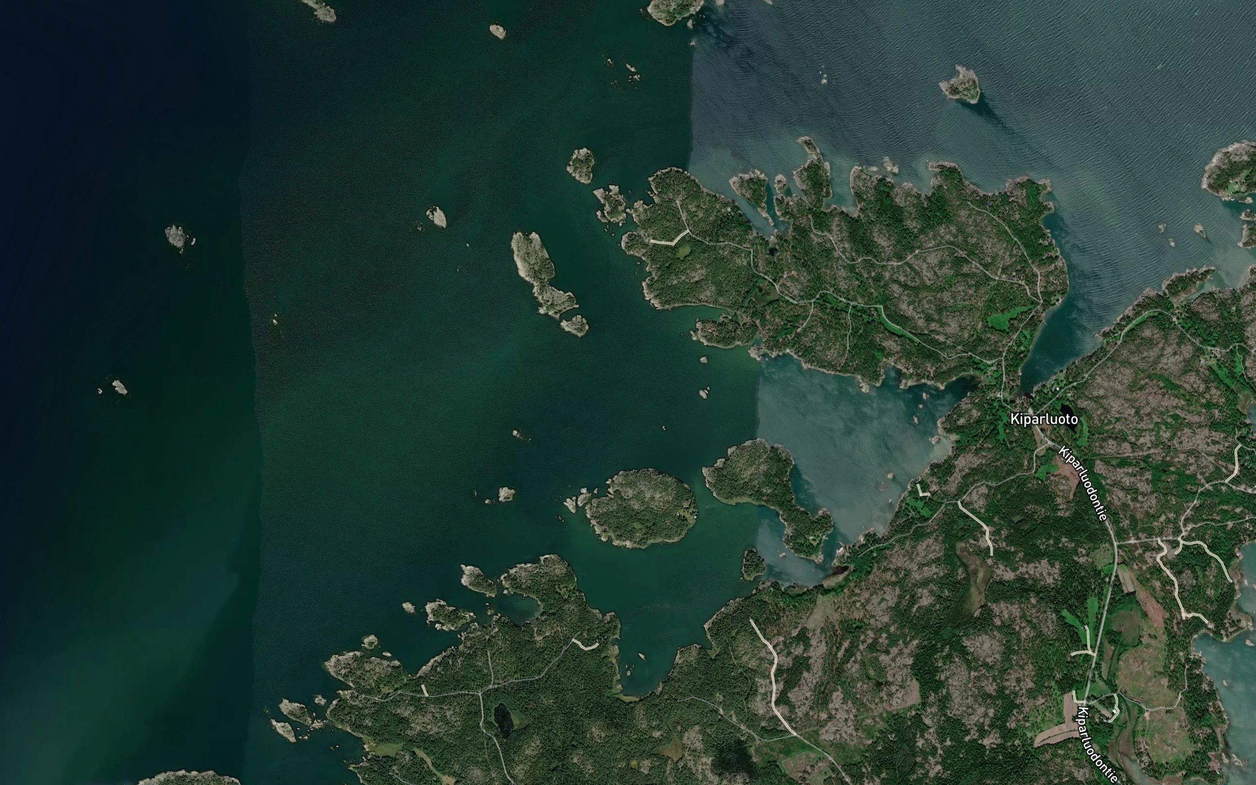 Haaronaukko