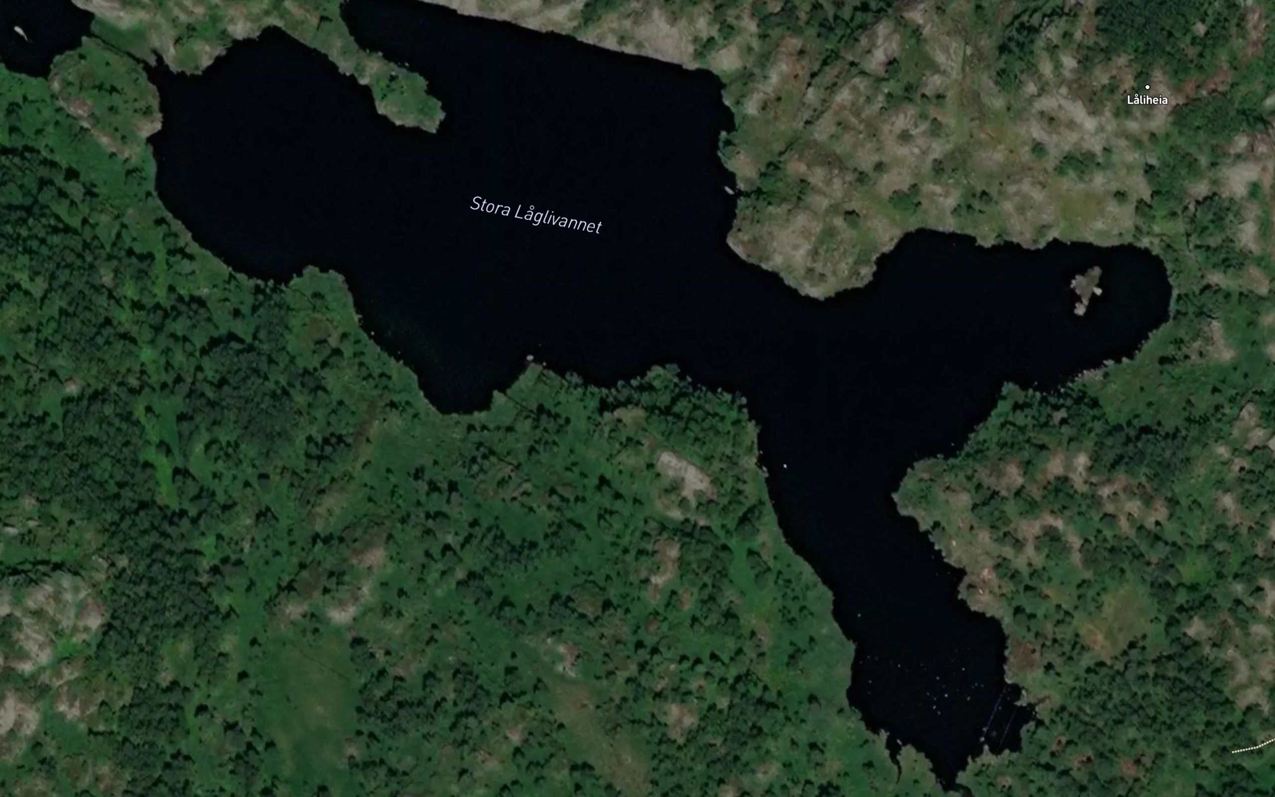Stora Lalivannet