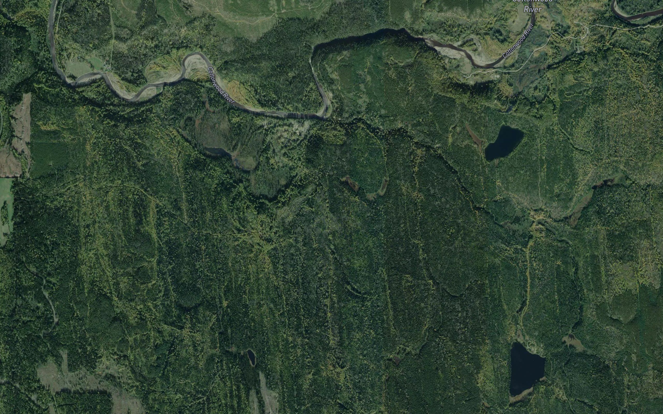 Frye Creek