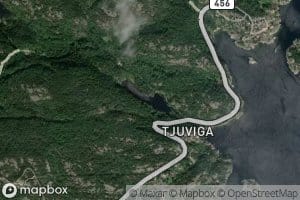 Tjuviktjonna