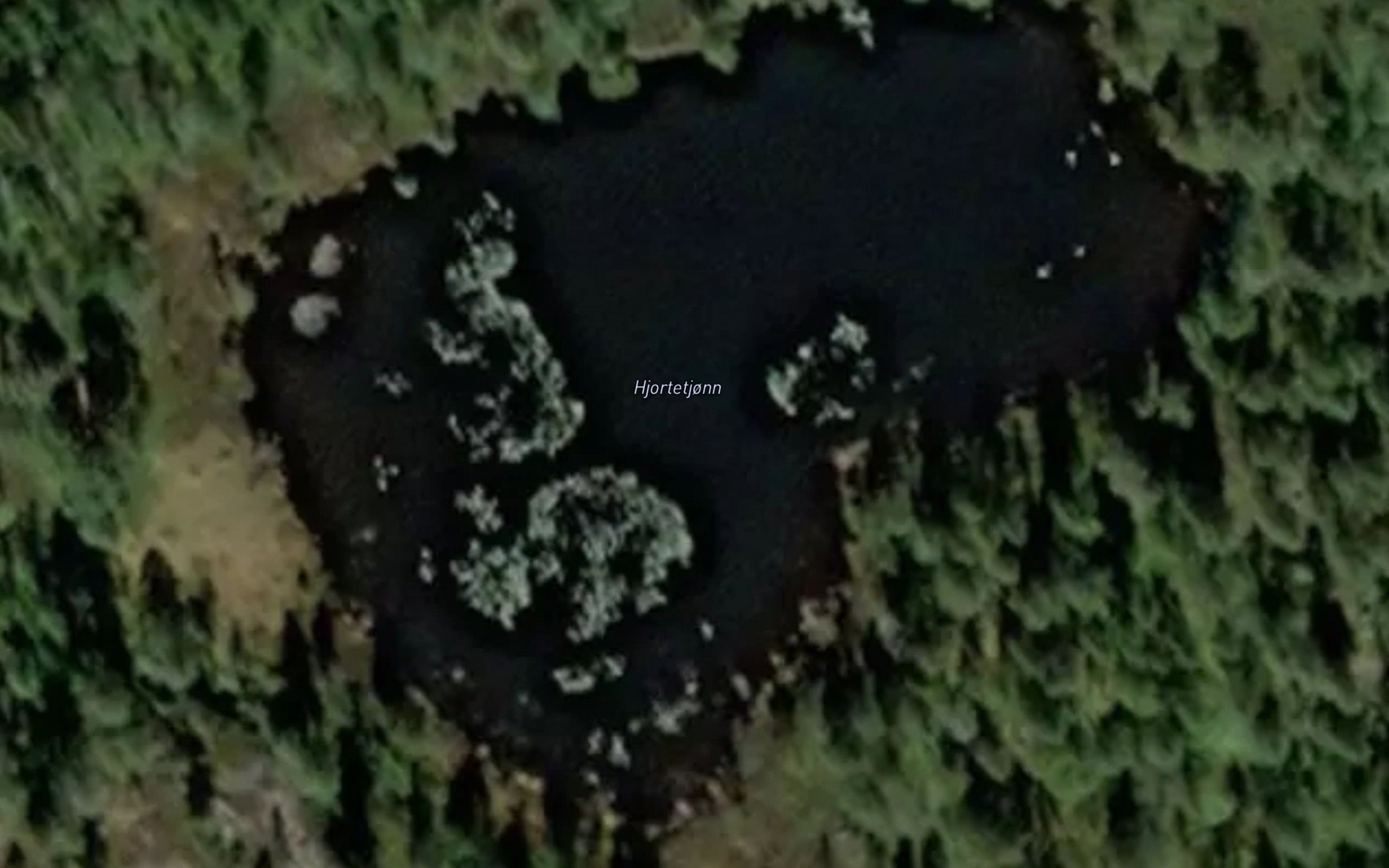 Hjartetjorni