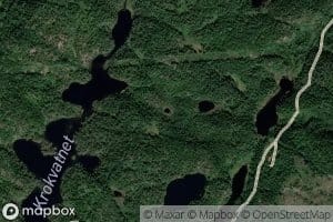Bukketjonn