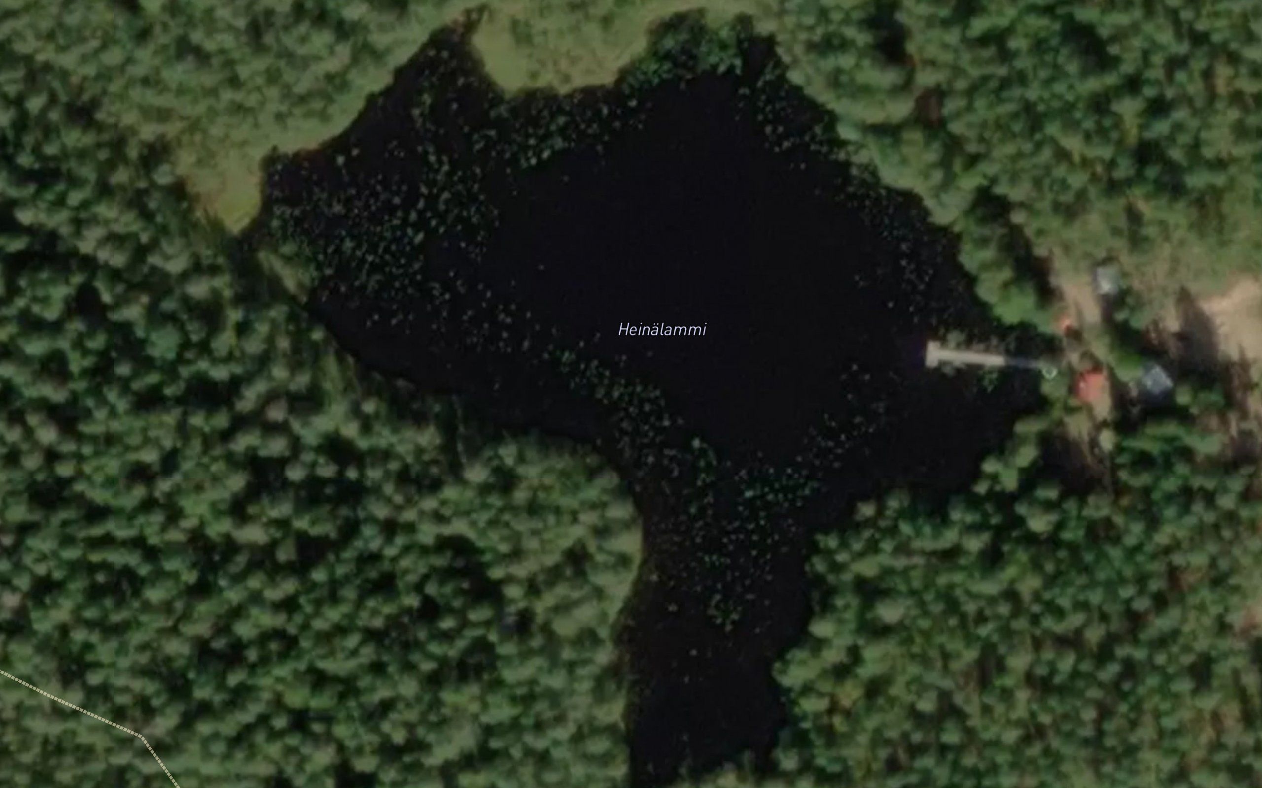 Heinalammi