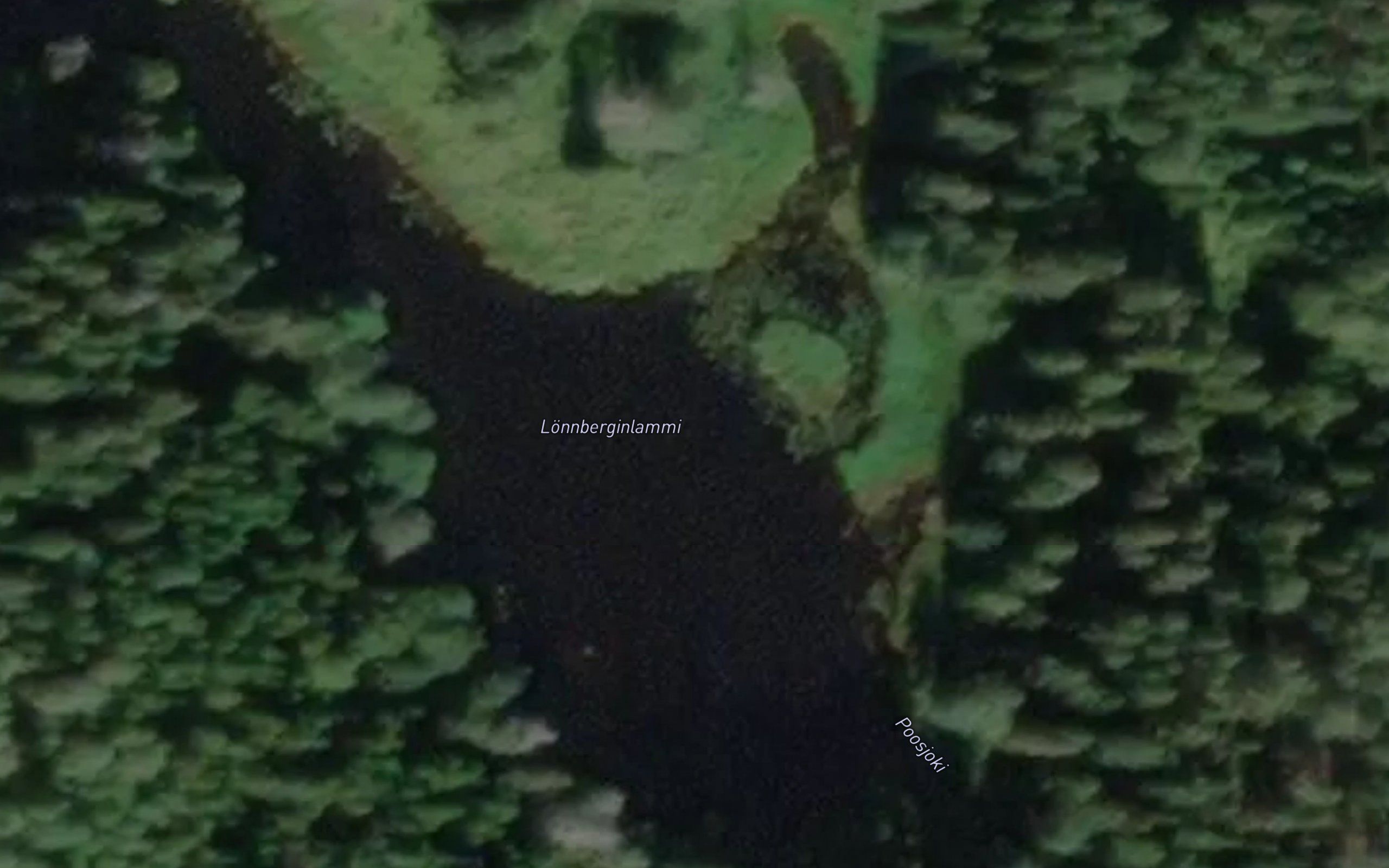 Lonnberginlammi