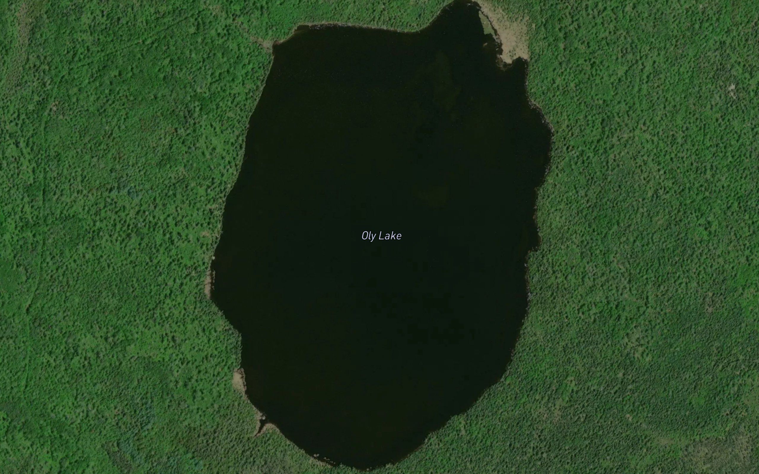 Oly Lake
