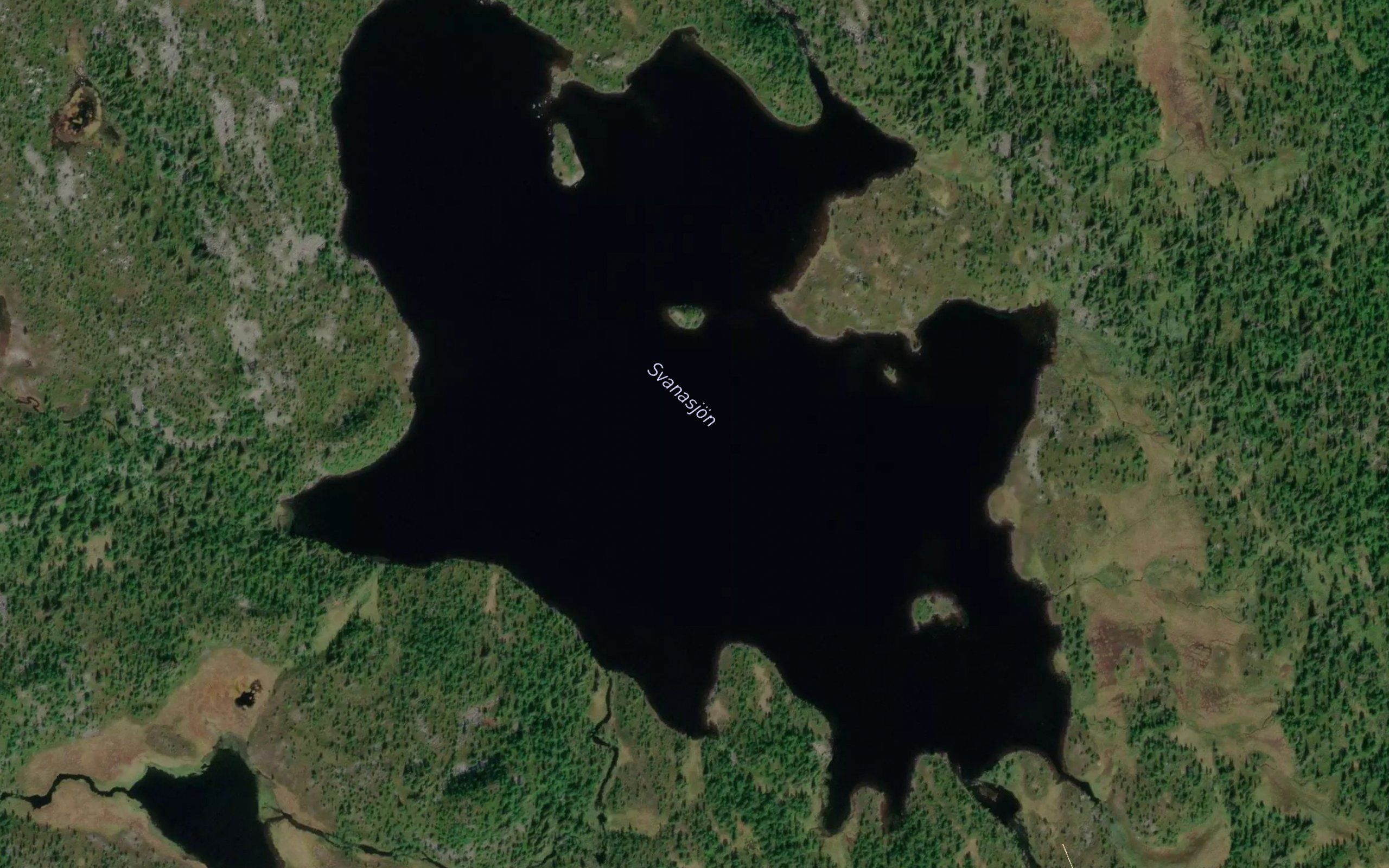 Svanasjoen