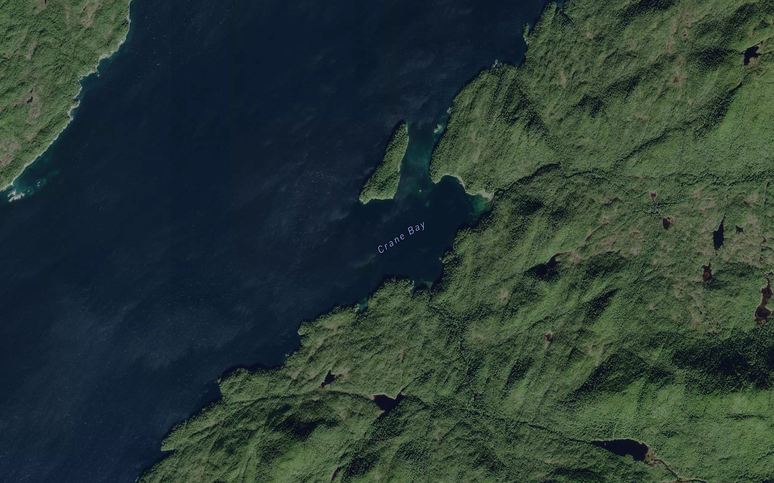 Crane Bay