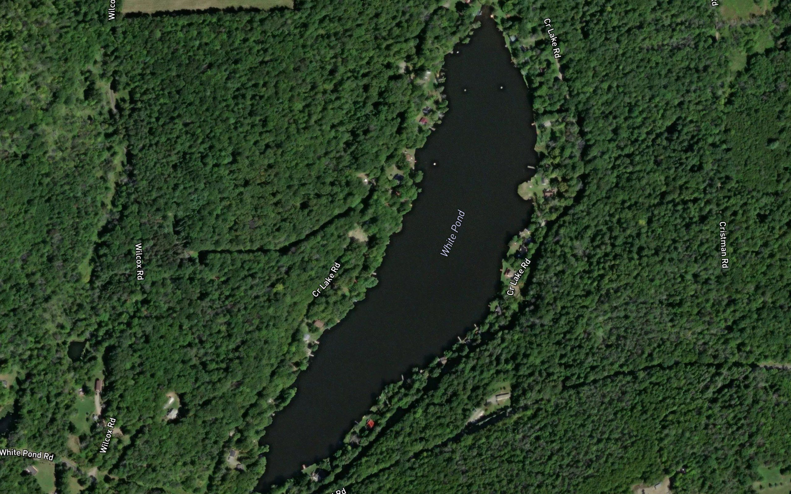 White Pond