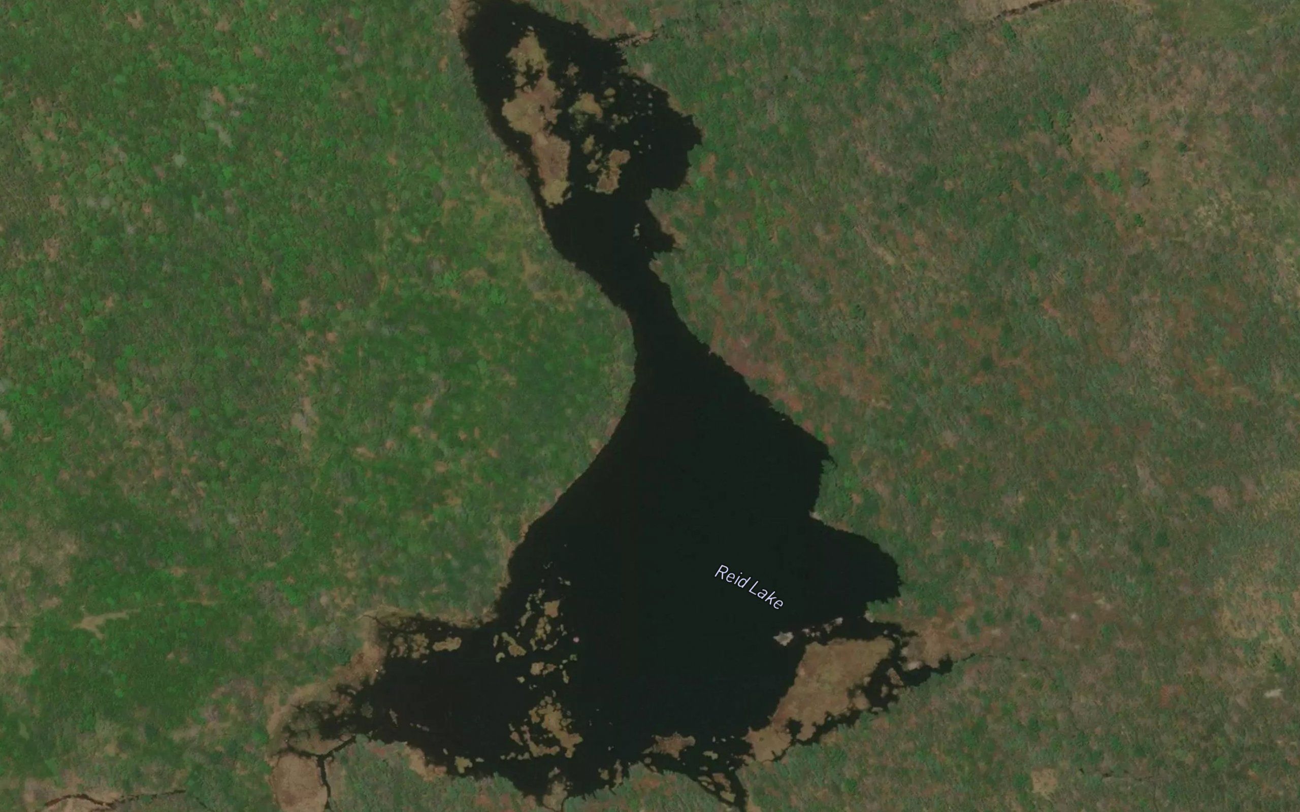 Reid Lake
