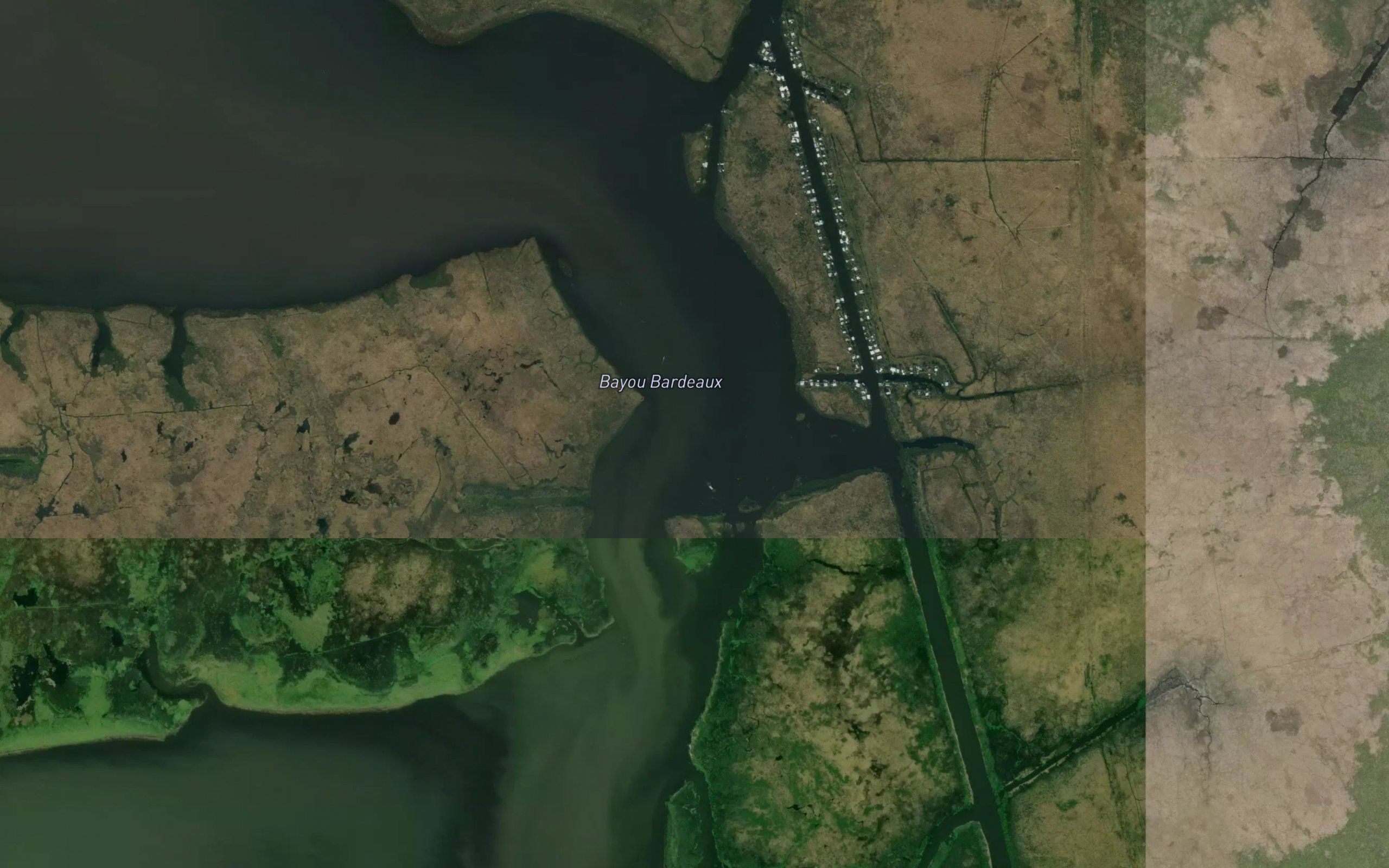 Bayou Bardeaux