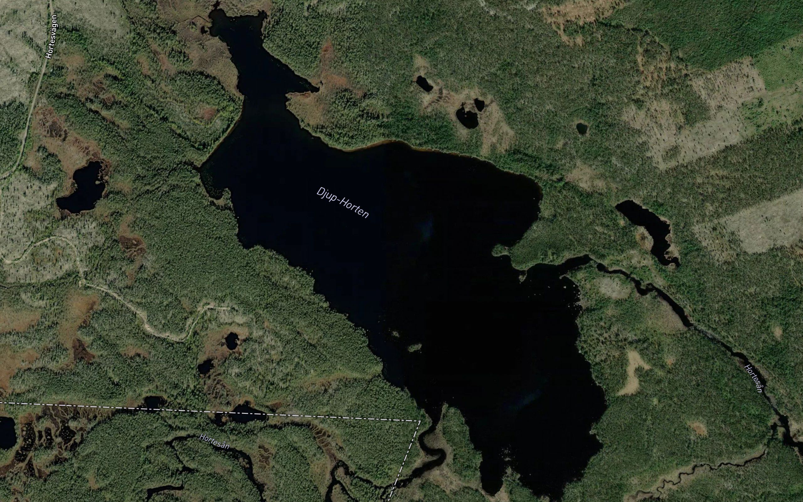 Djuphorten