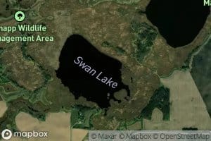Swan Lake