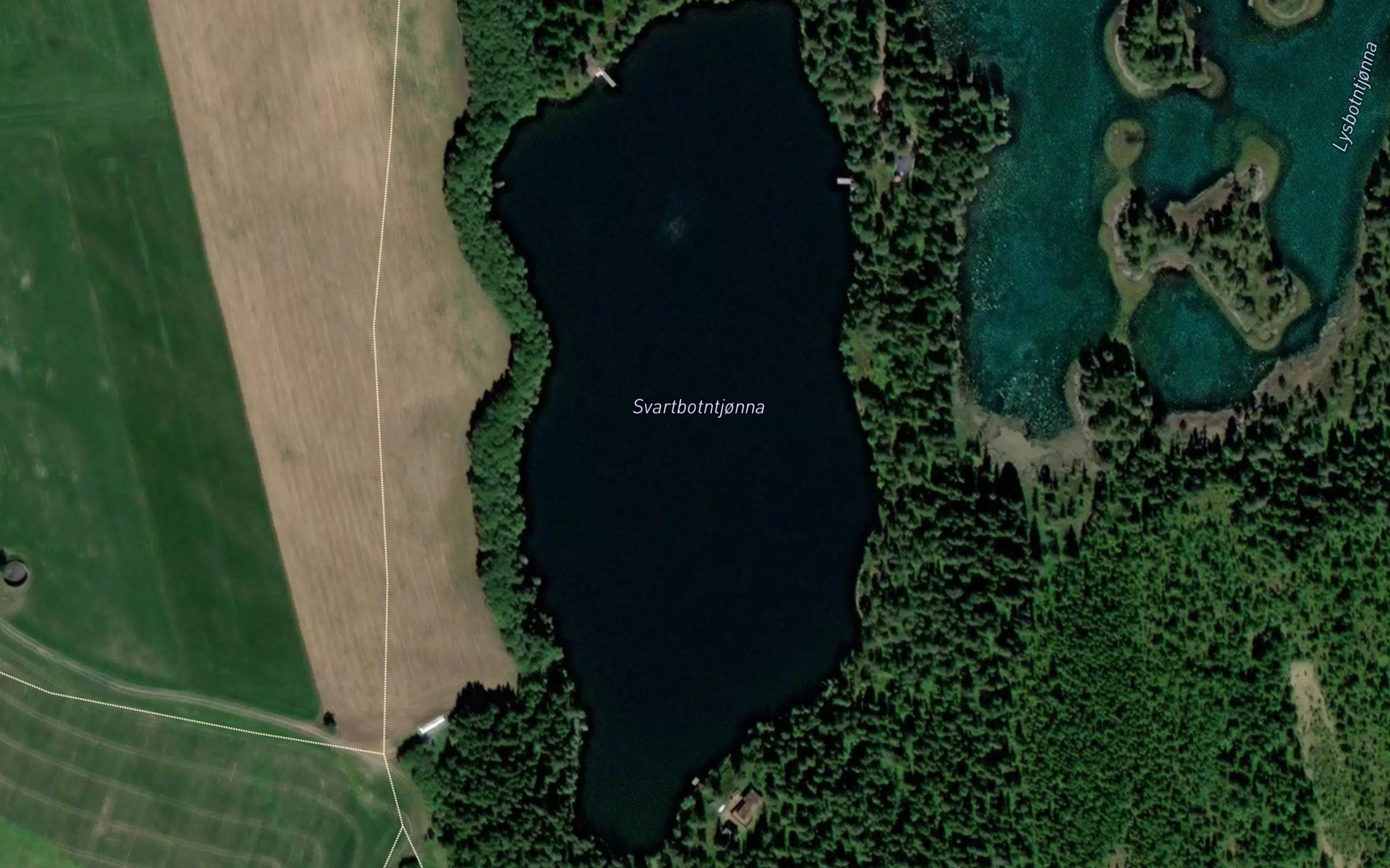 Svartbotntjorna