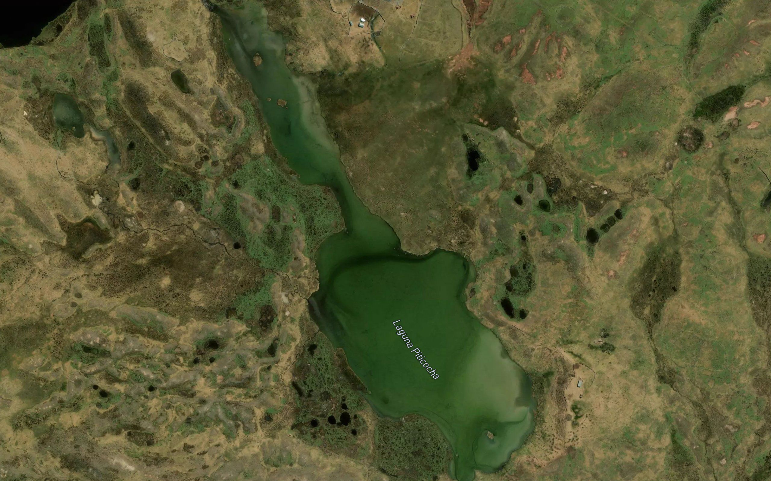 Laguna Piticocha