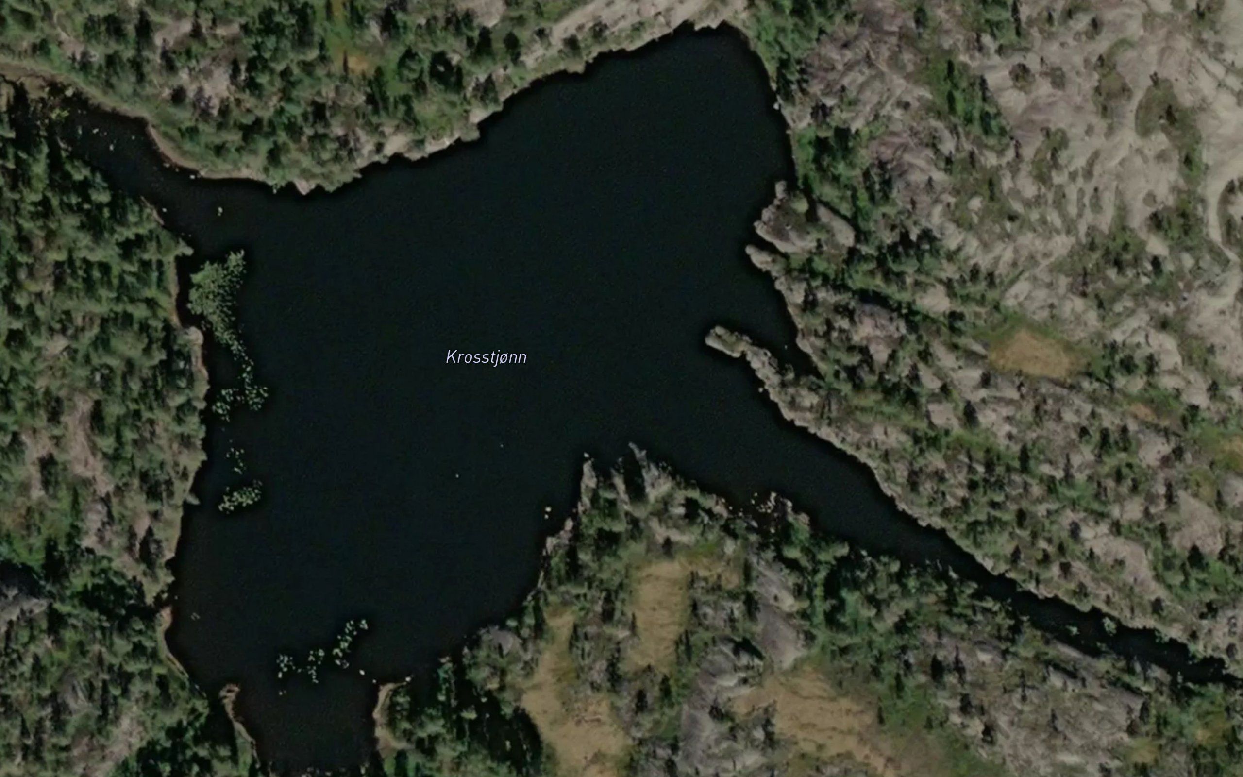 Krosstjorna