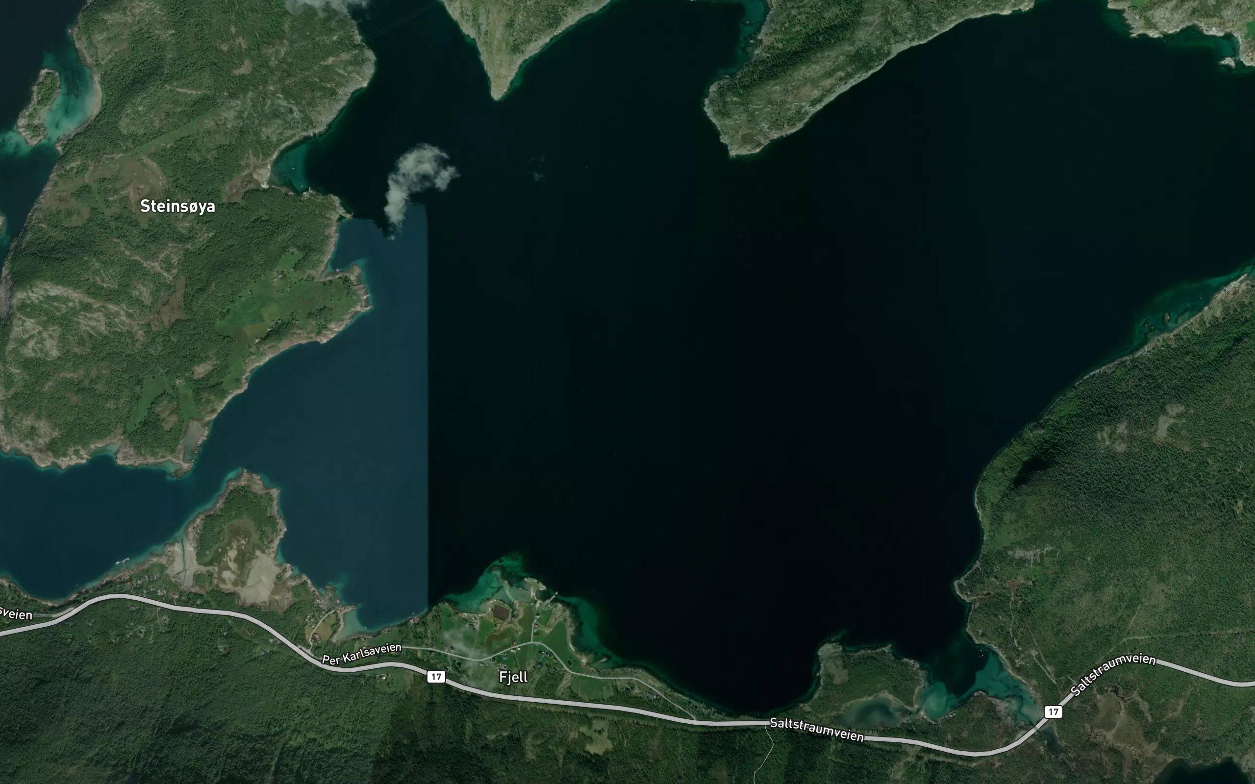 Fjellvika