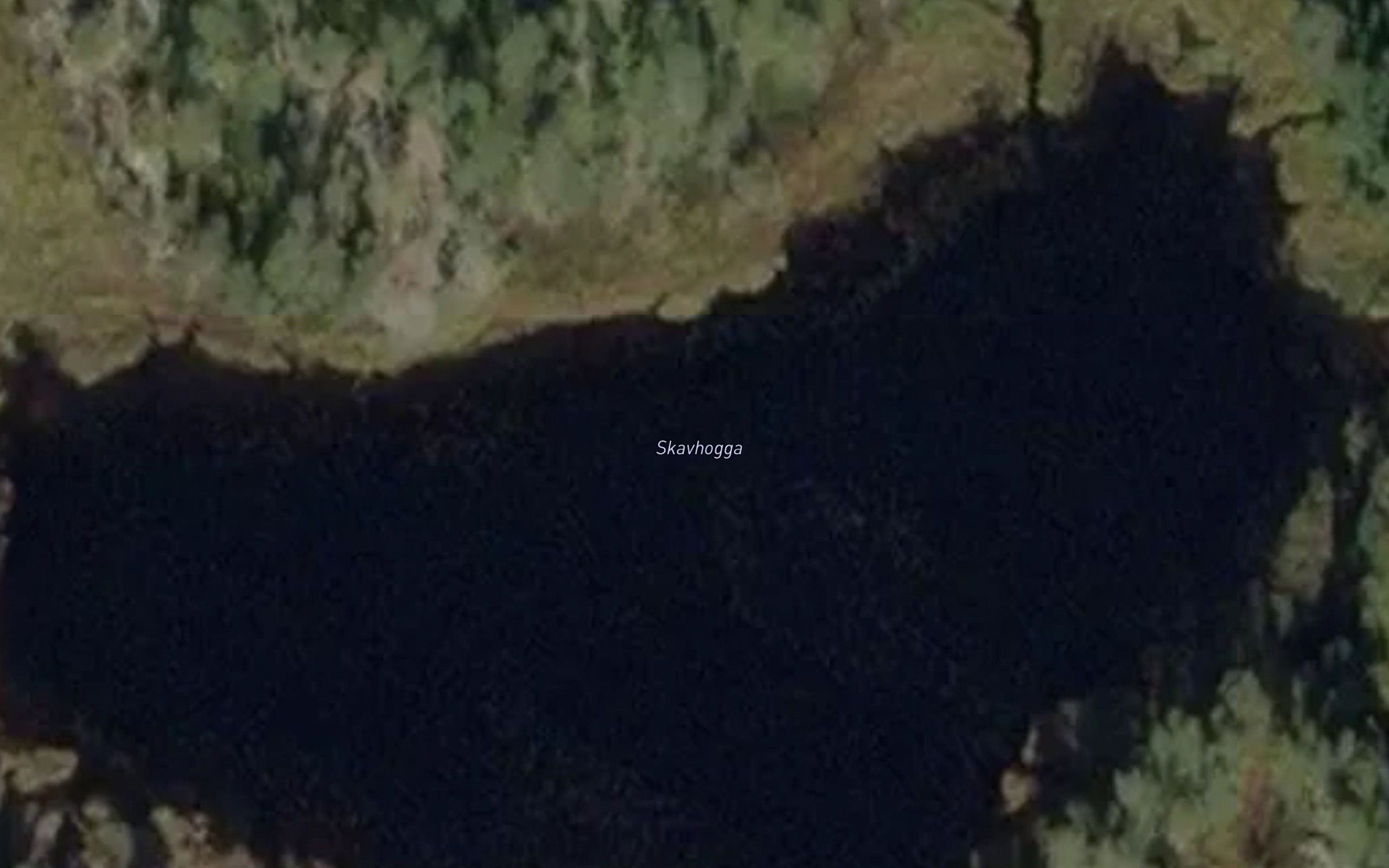 Skavhogga