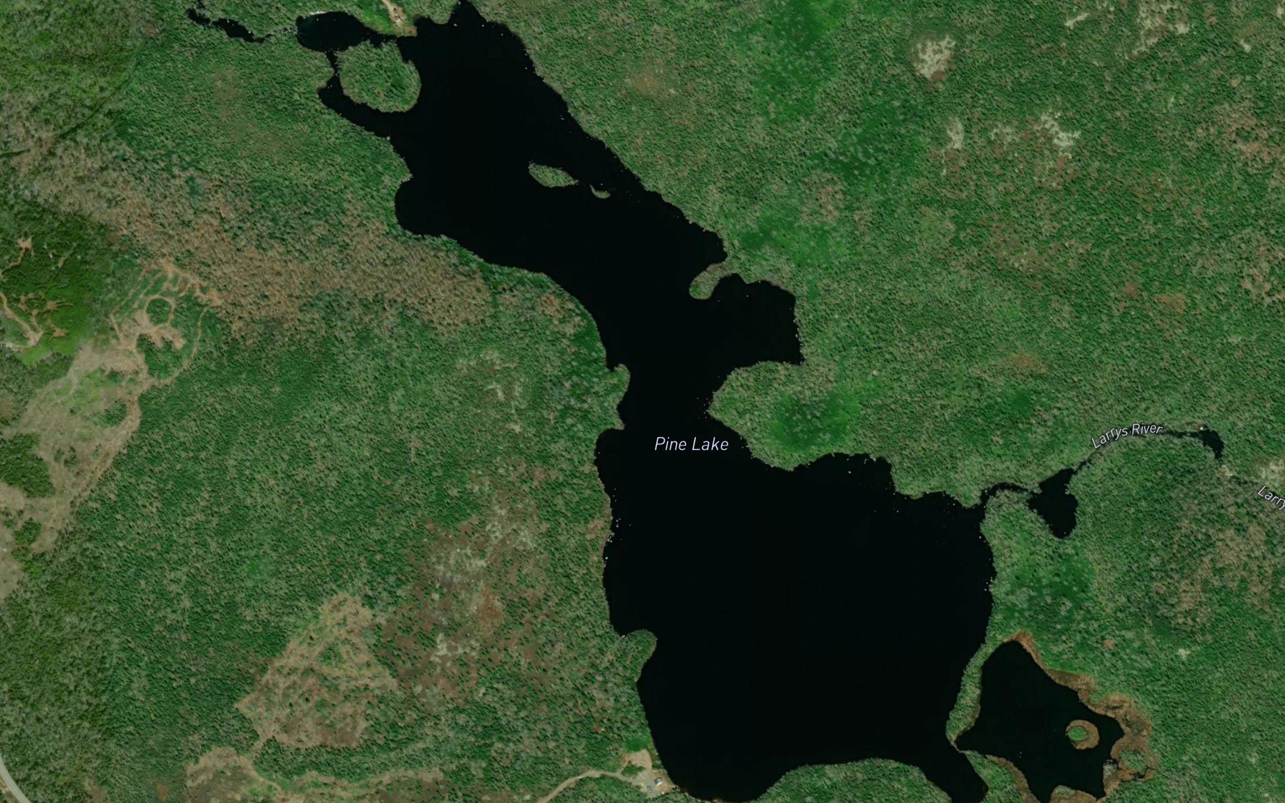 Pine Lake