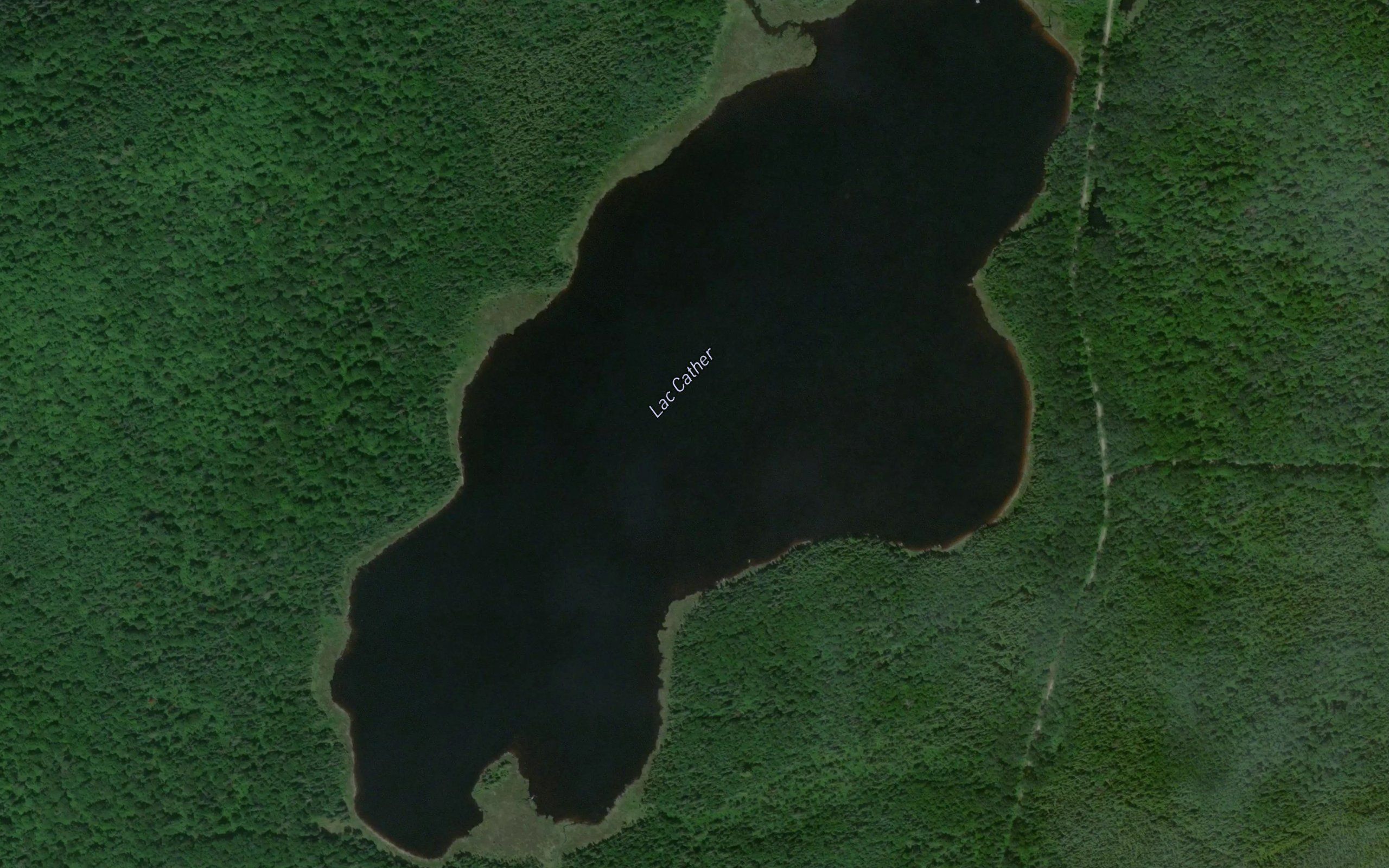 Lac Cather