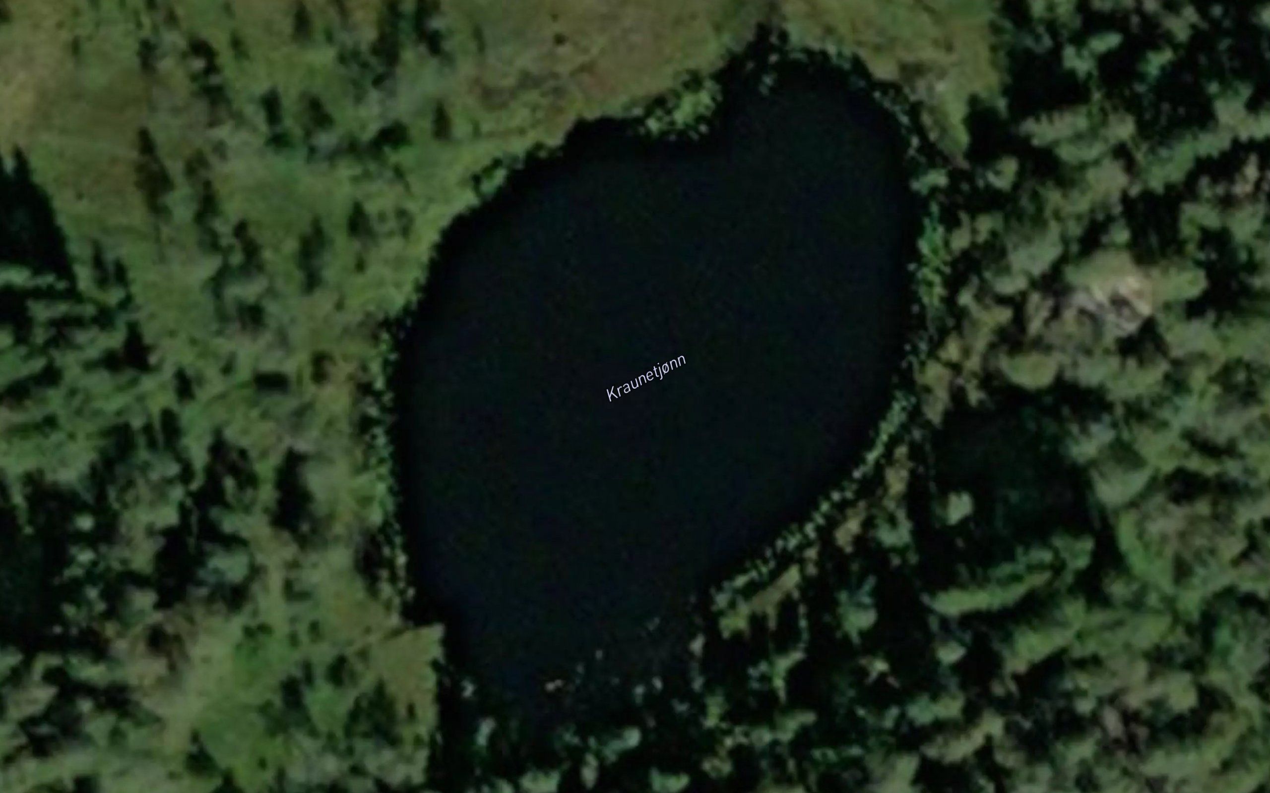 Kraunetjonn