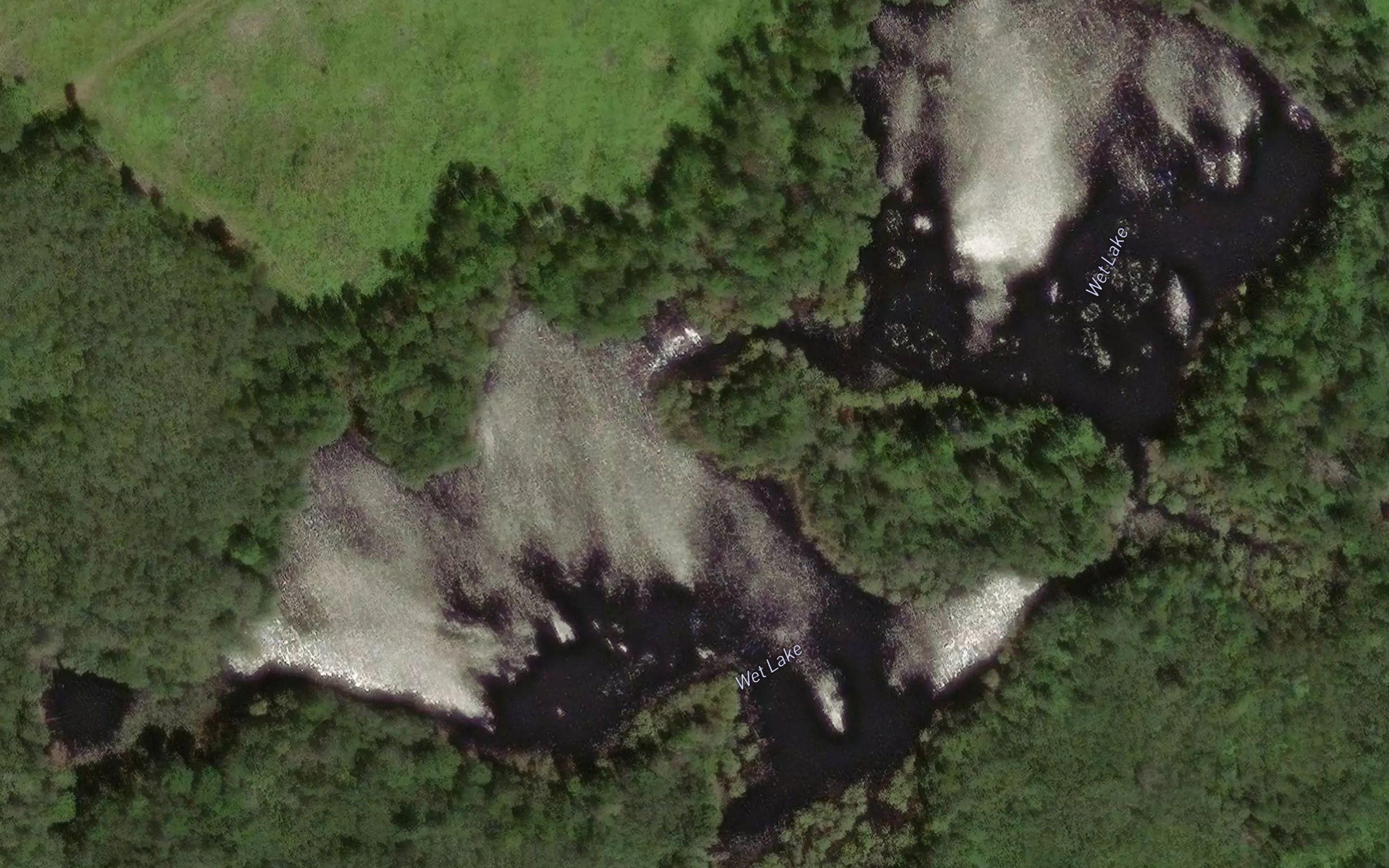 Wet Lake