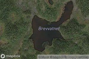 Brevvatnet