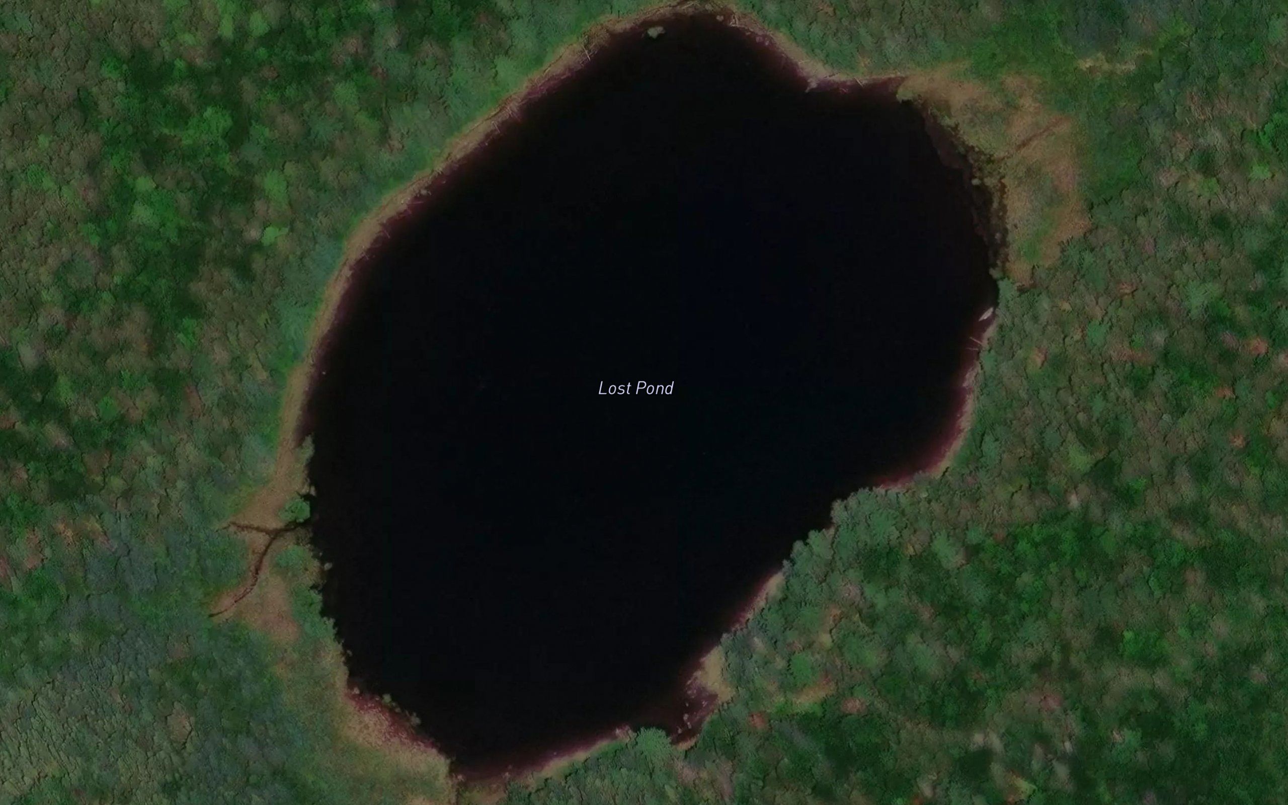 Lost Pond