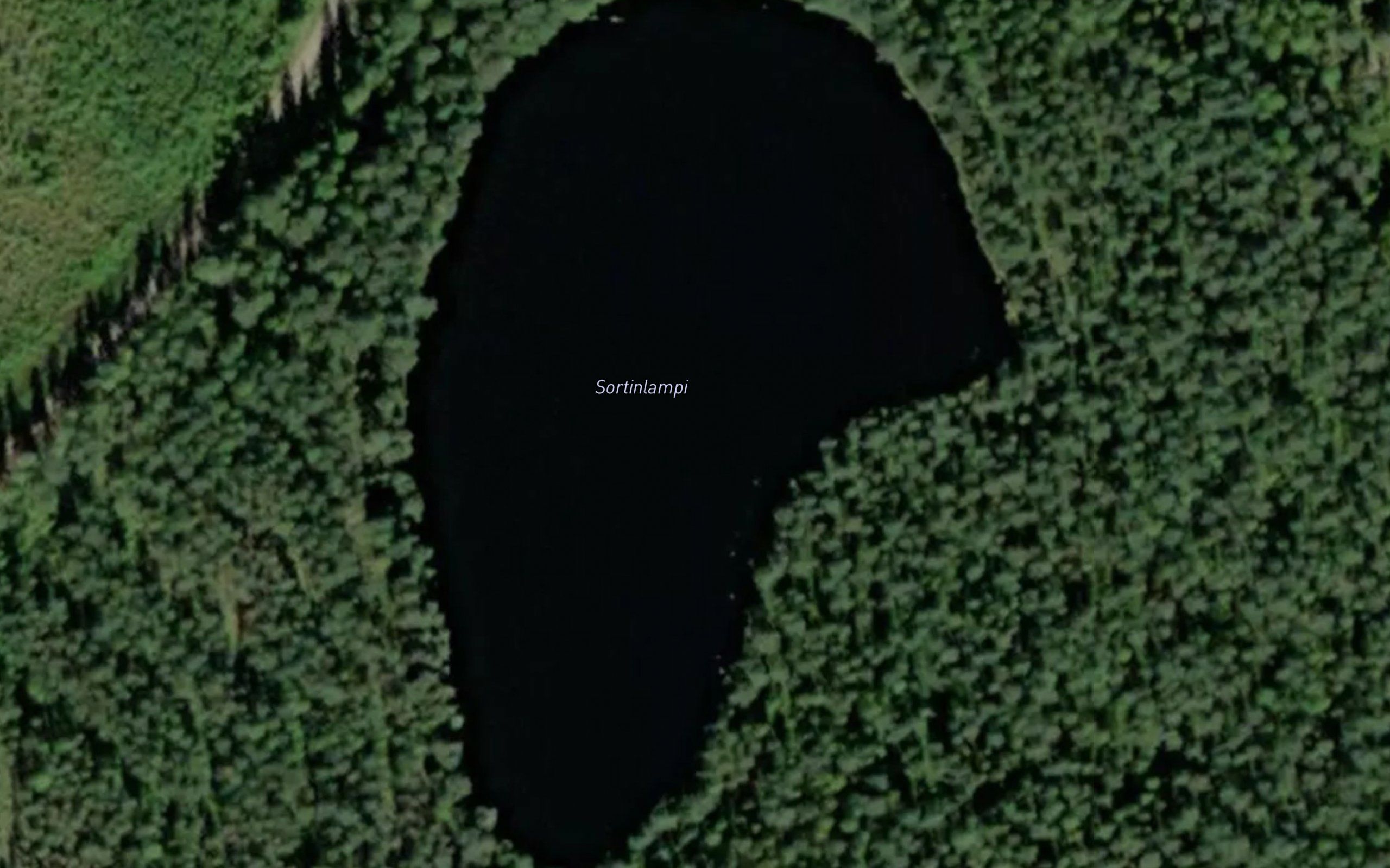 Sortinlampi