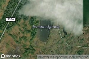 Jensnestjorna