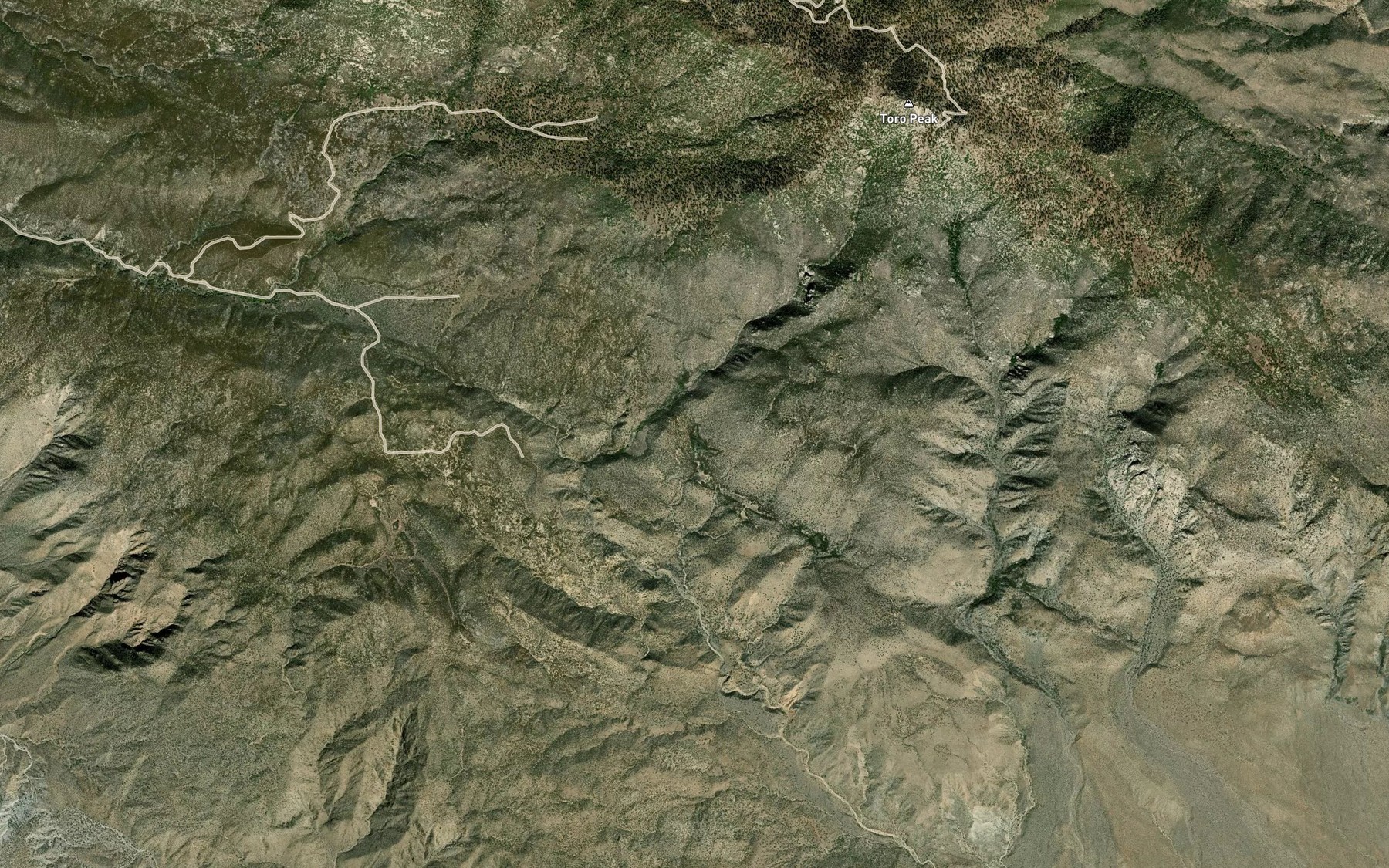 Satellite map of the Toro Spring