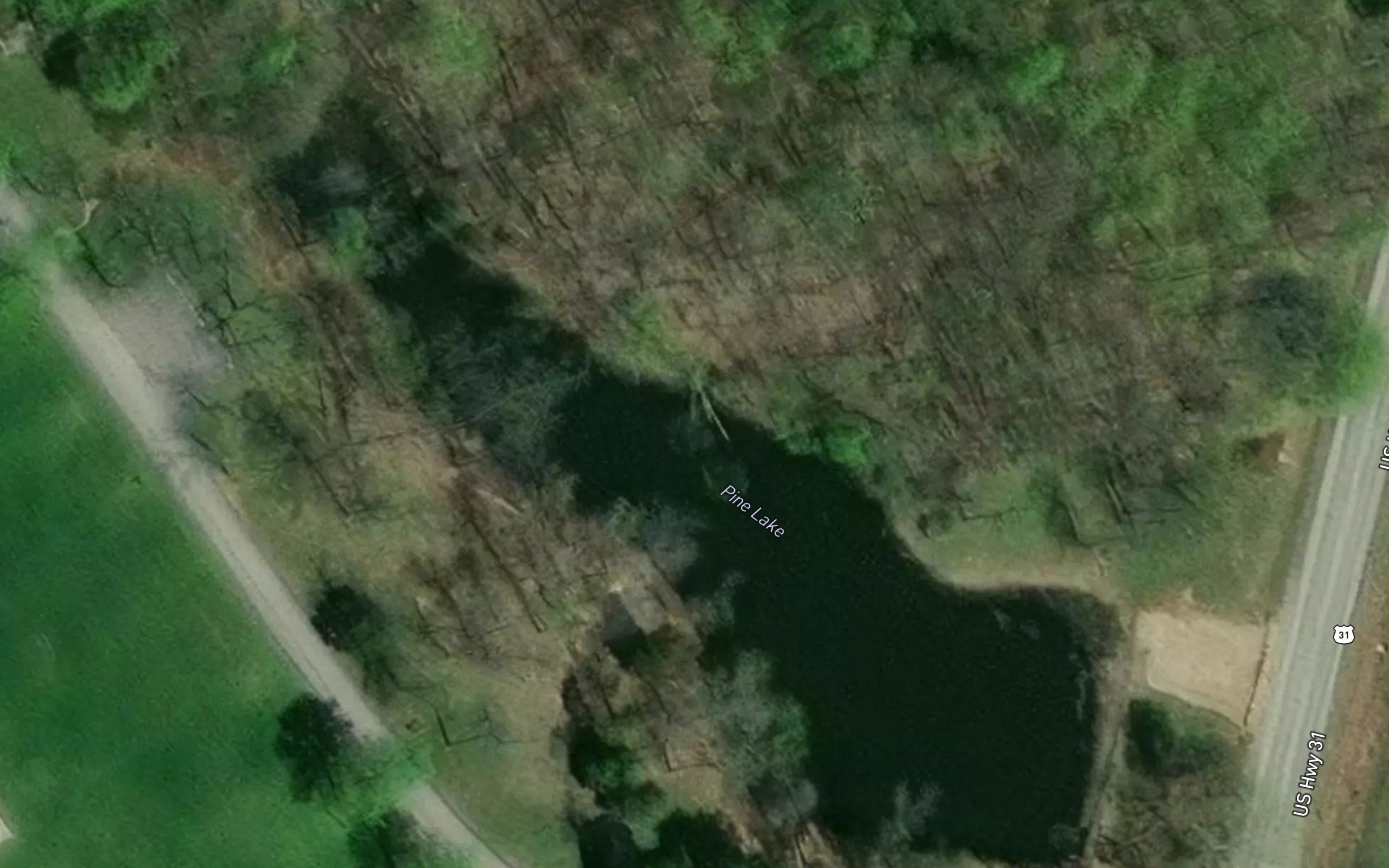 Pine Lake
