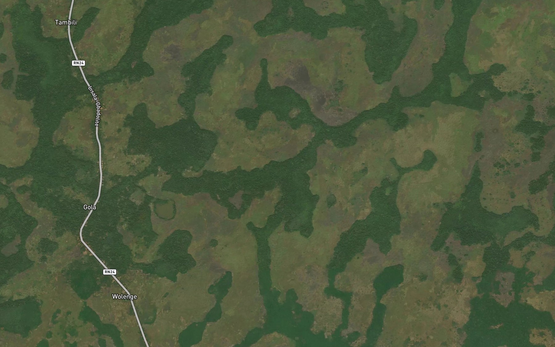 Satellite map of the Lobale